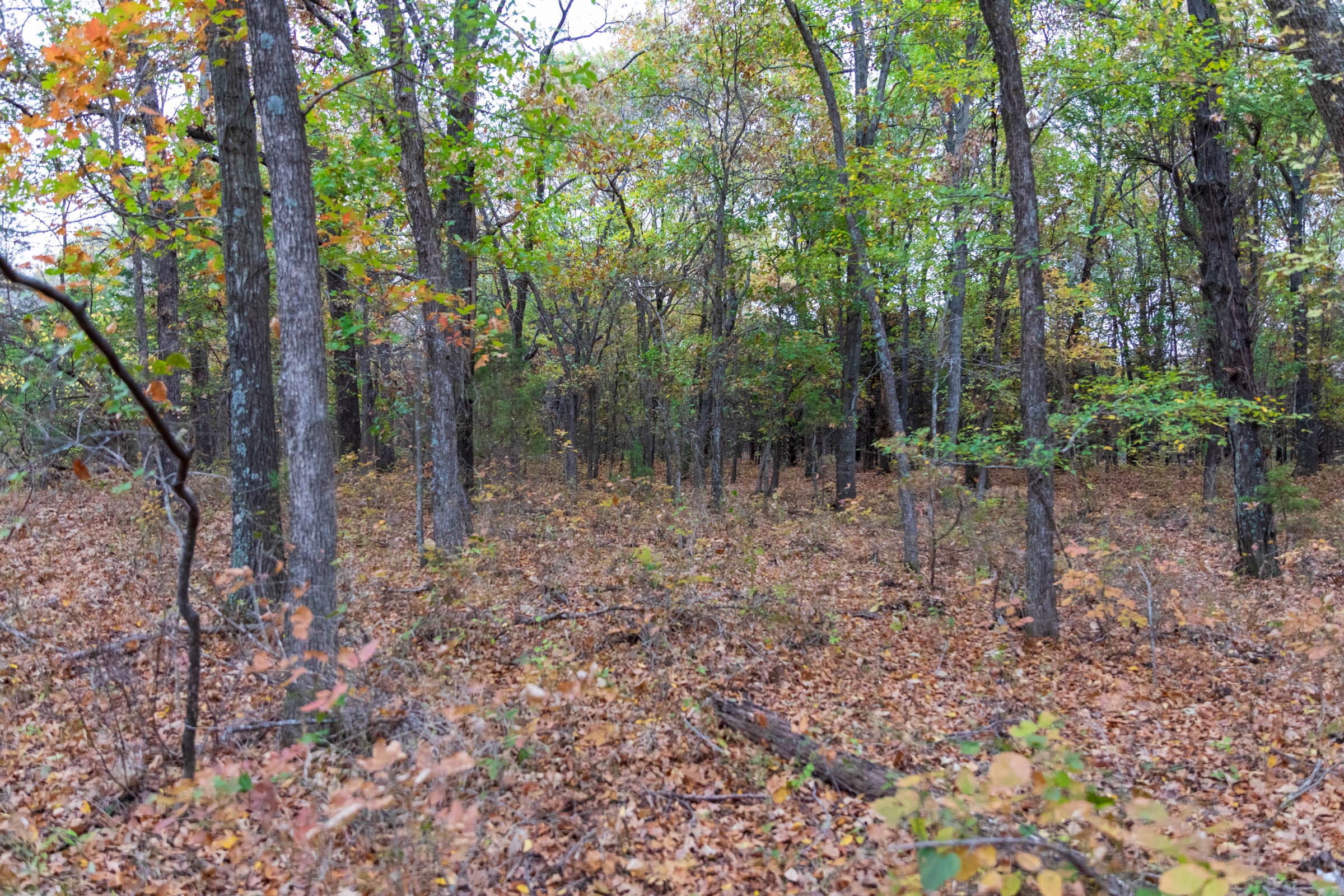 Crystal Springs Tract 4 photo 9