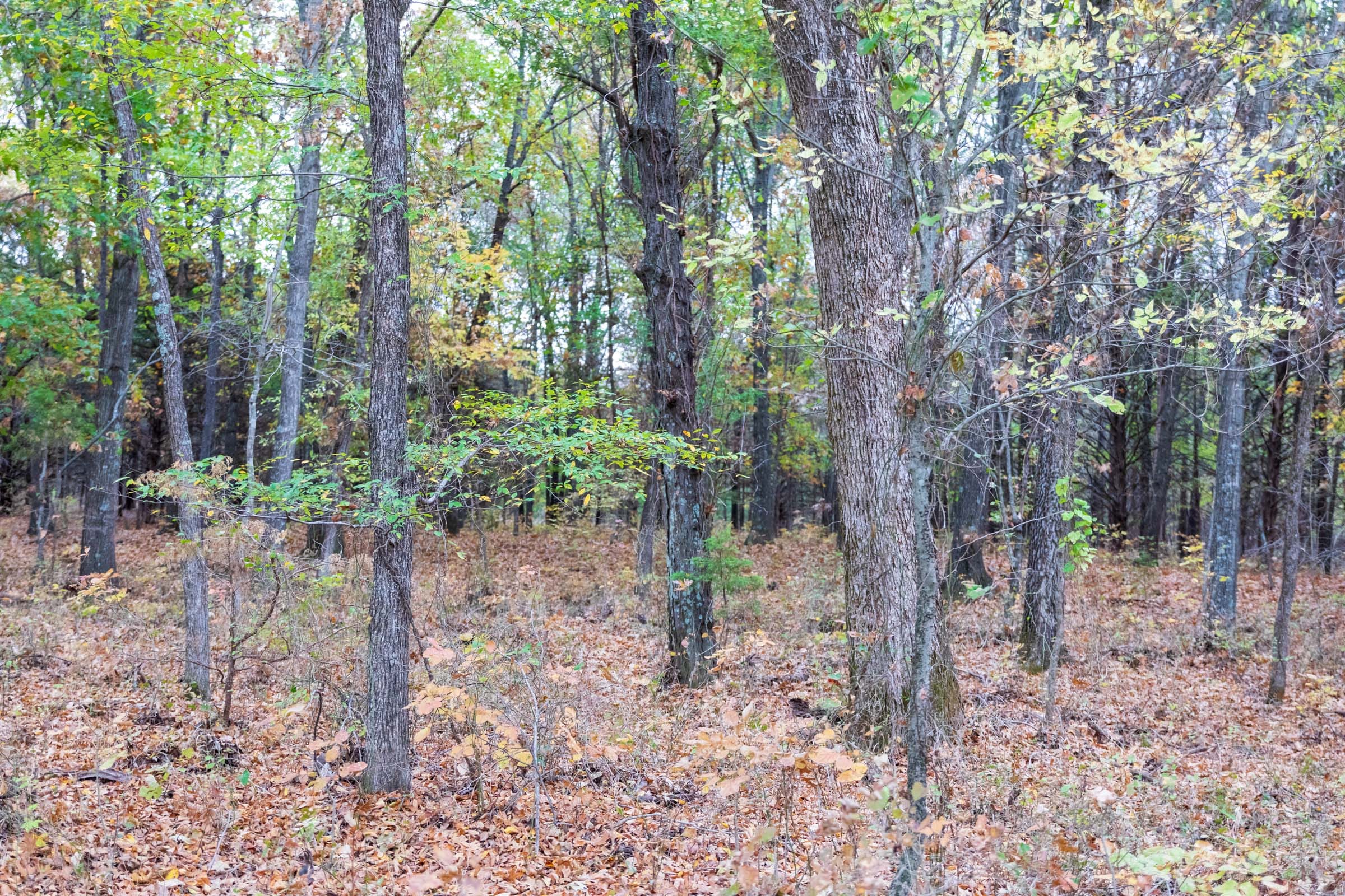 Crystal Springs Tract 4 photo 10