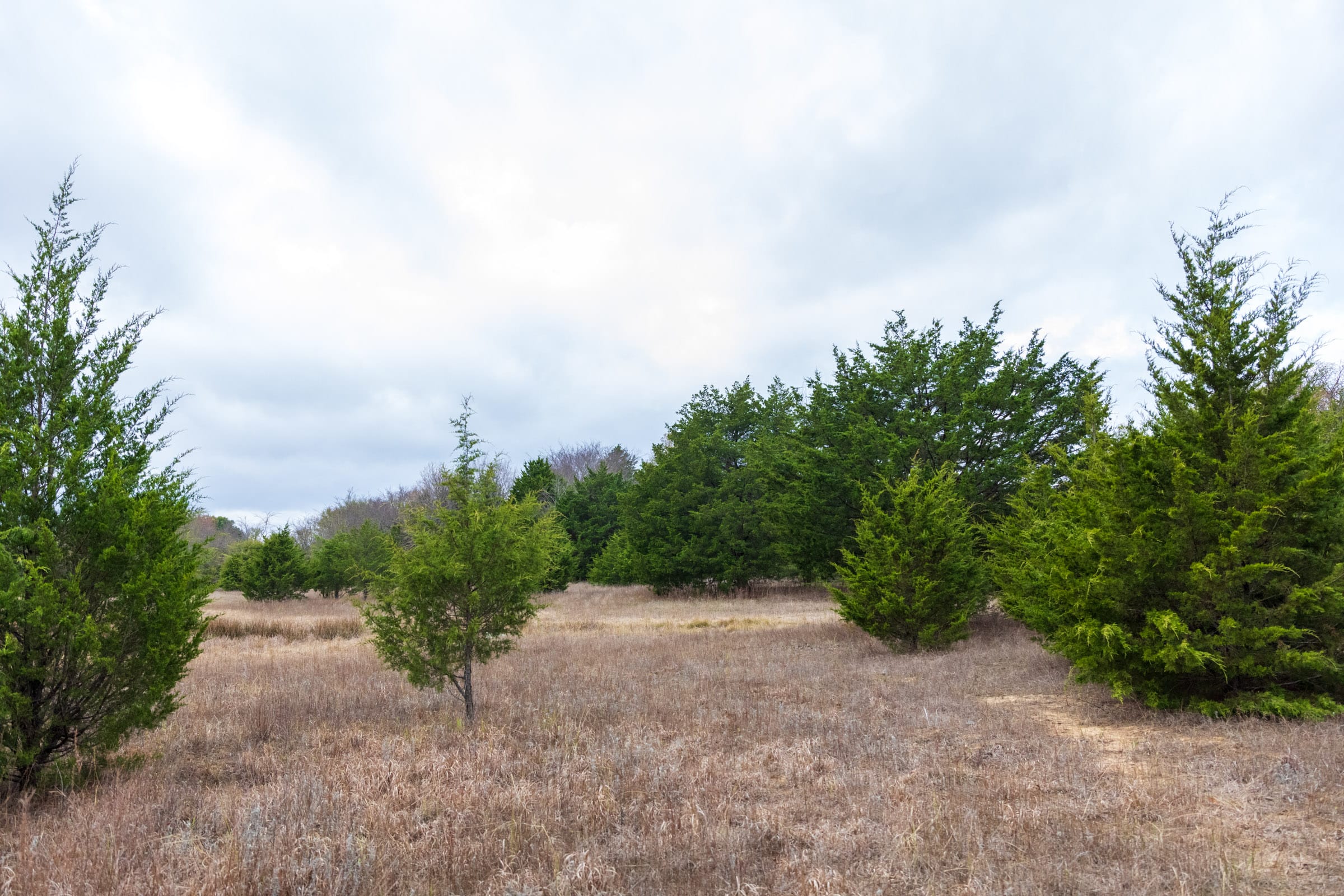 Crystal Springs Tract 4 photo 14