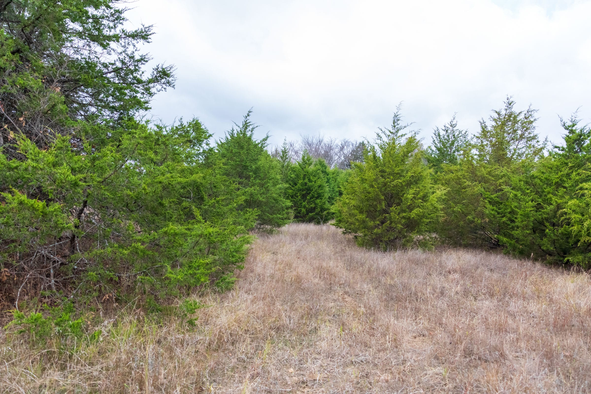 Crystal Springs Tract 4 photo 15