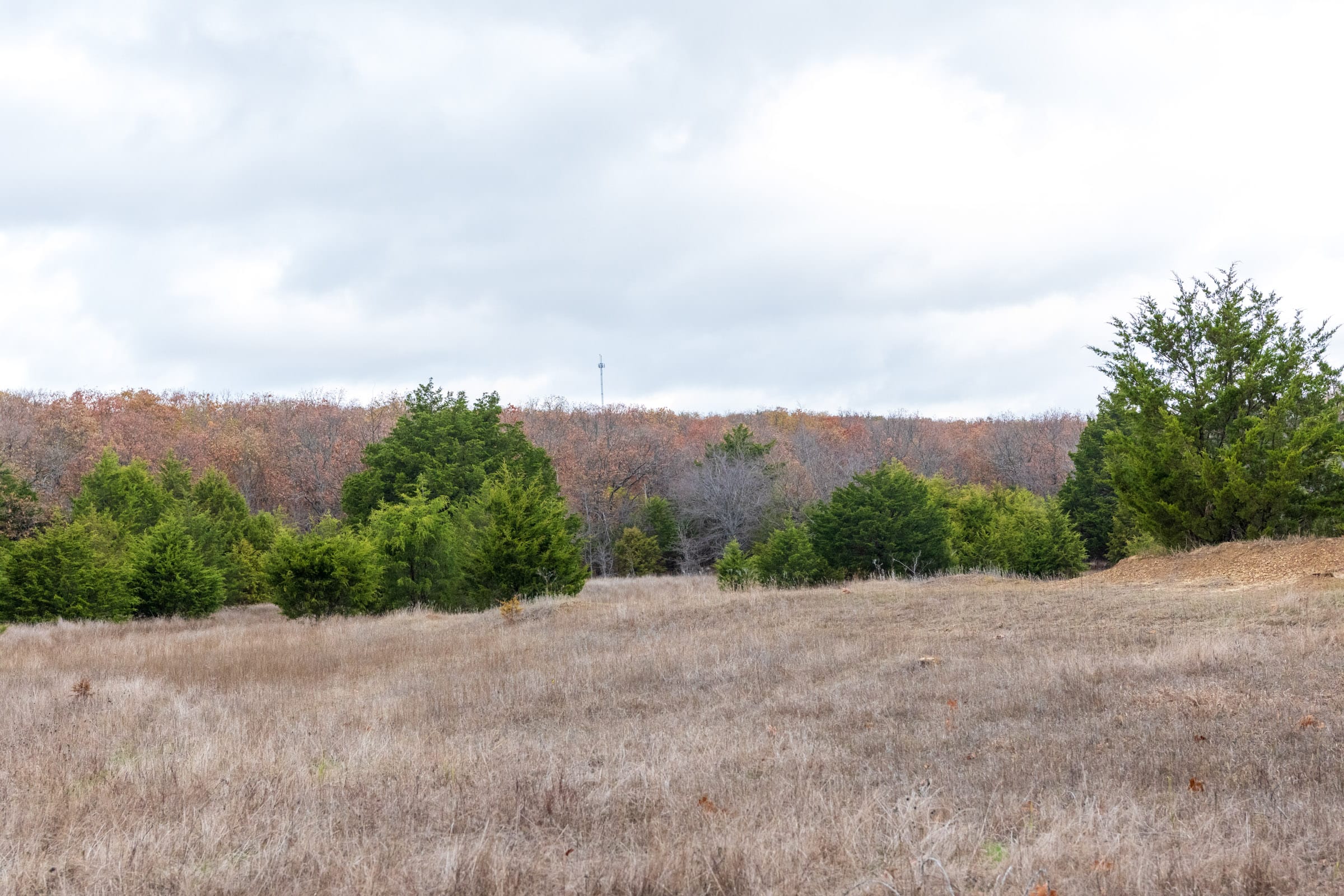 Crystal Springs Tract 4 photo 16