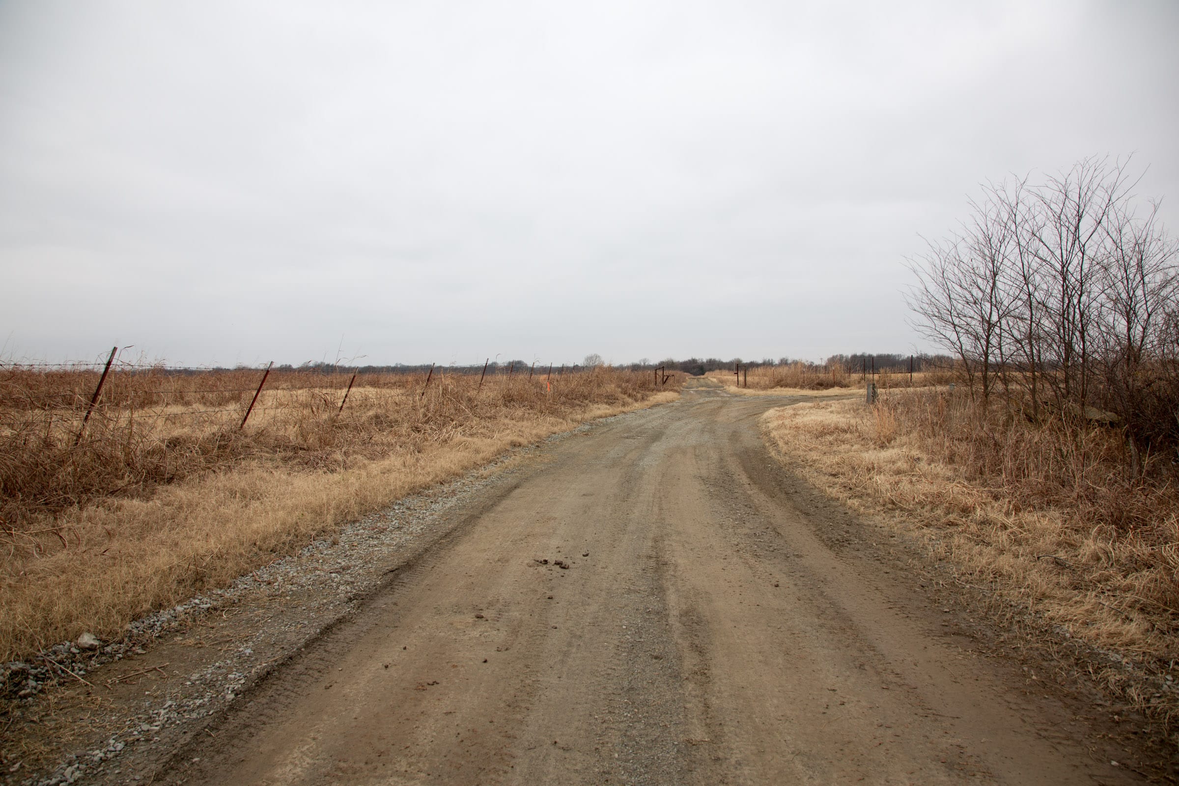 Canadian Plains Tract 41 photo 1