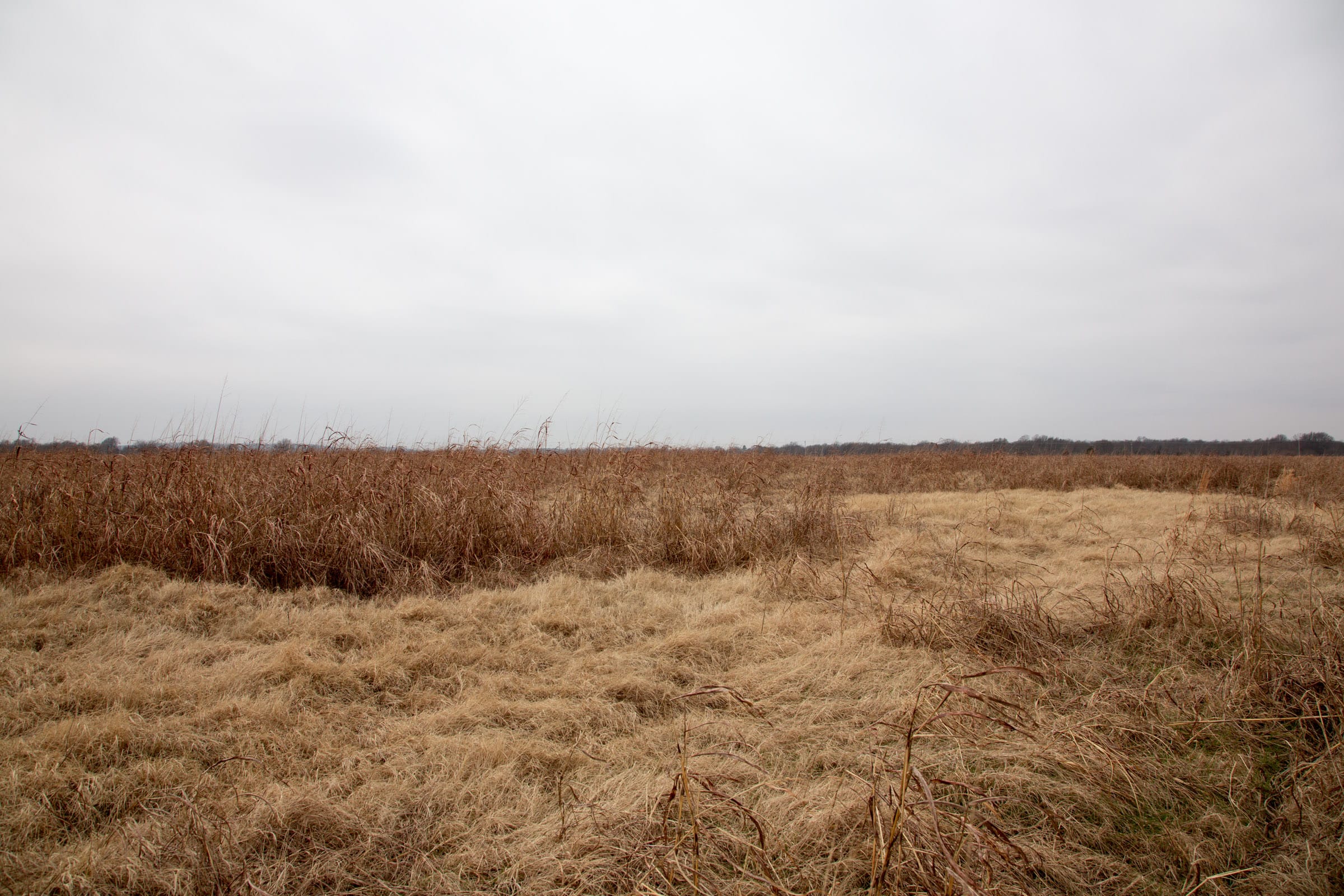 Canadian Plains Tract 41 photo 2