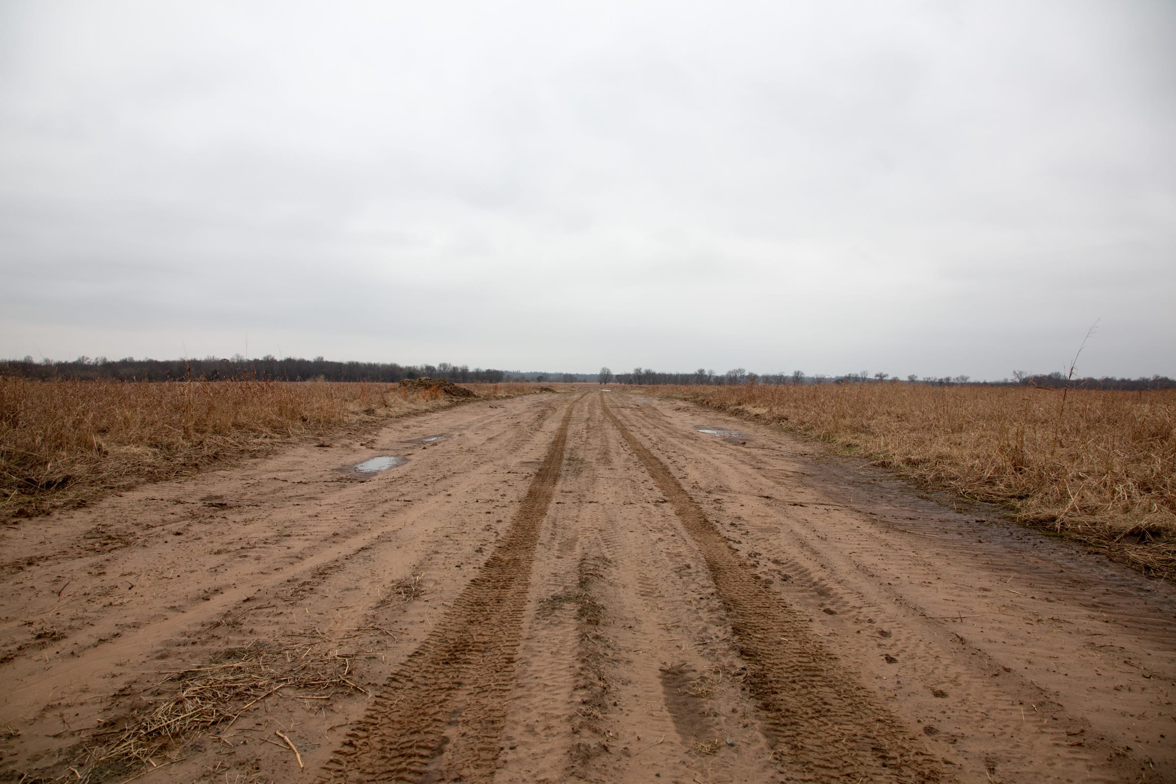 Canadian Plains Tract 41 photo 3