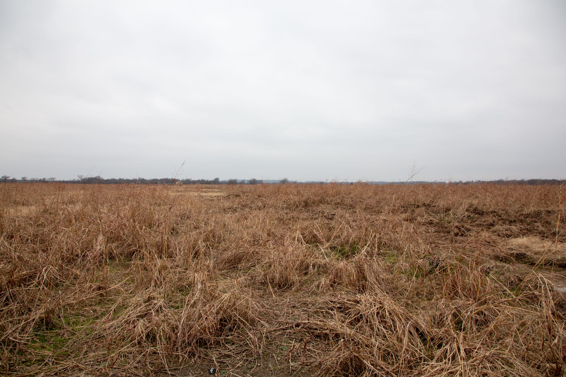 Canadian Plains Tract 41 photo 4