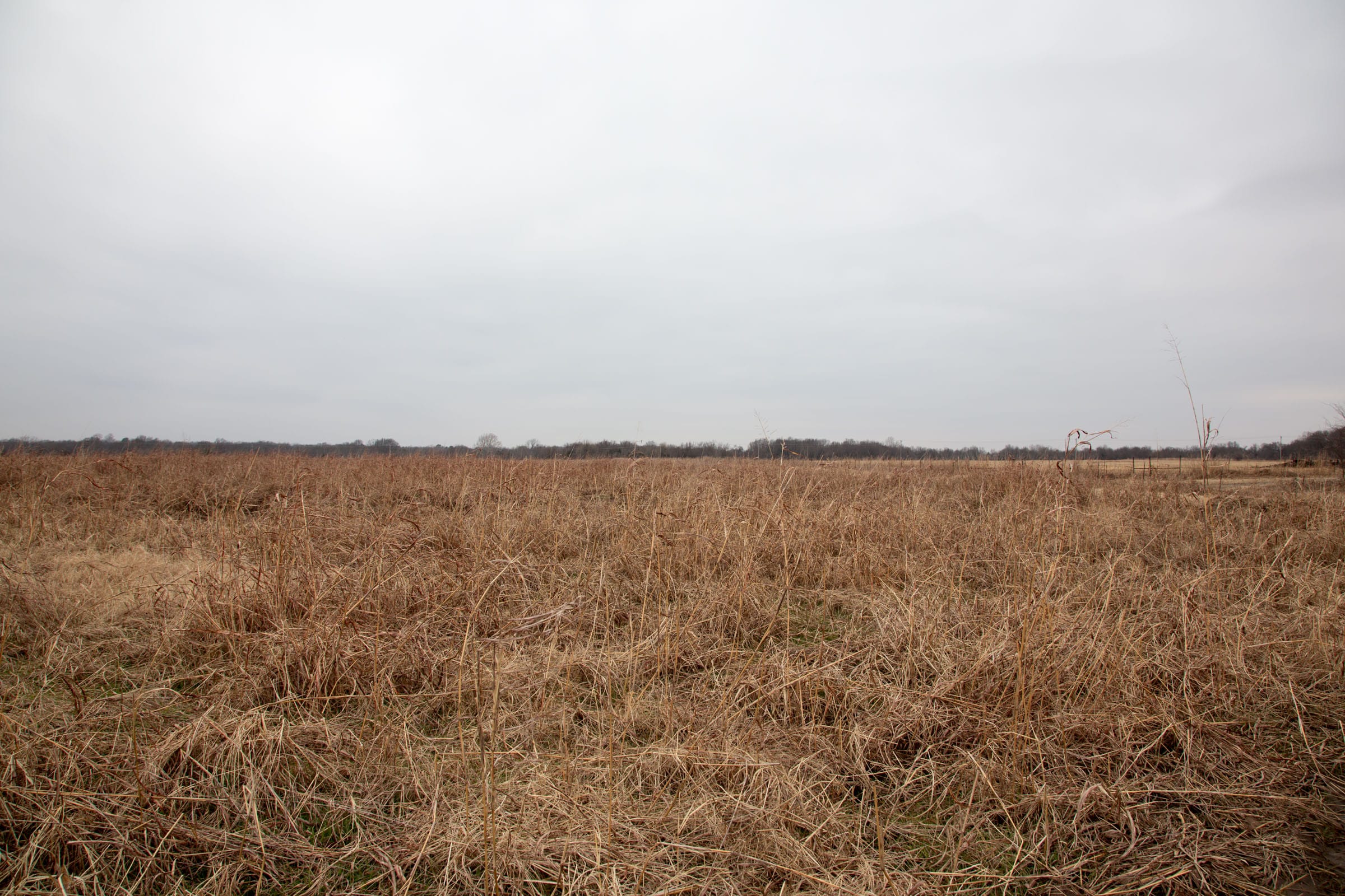 Canadian Plains Tract 41 photo 5