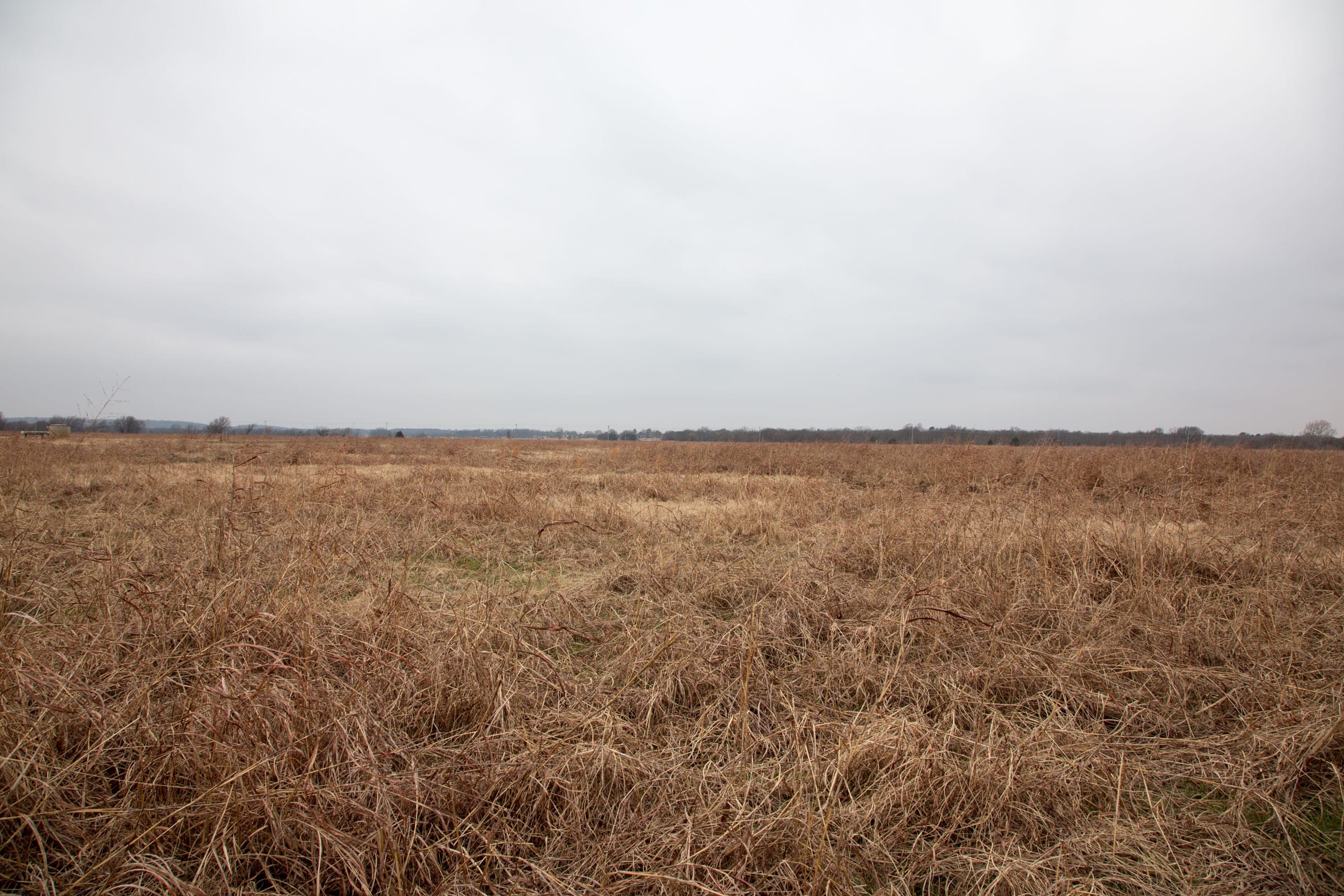 Canadian Plains Tract 41 photo 6