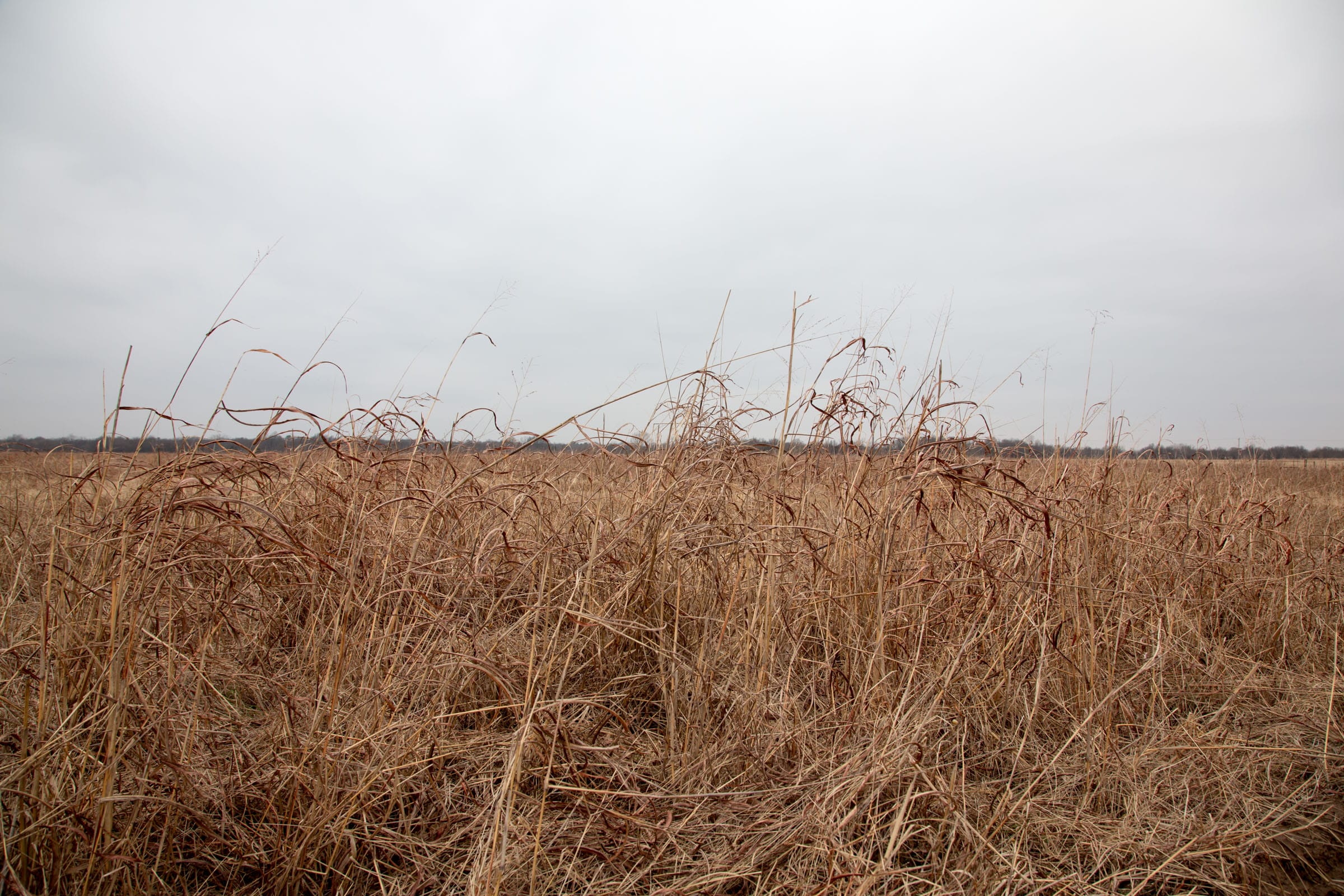 Canadian Plains Tract 41 photo 7