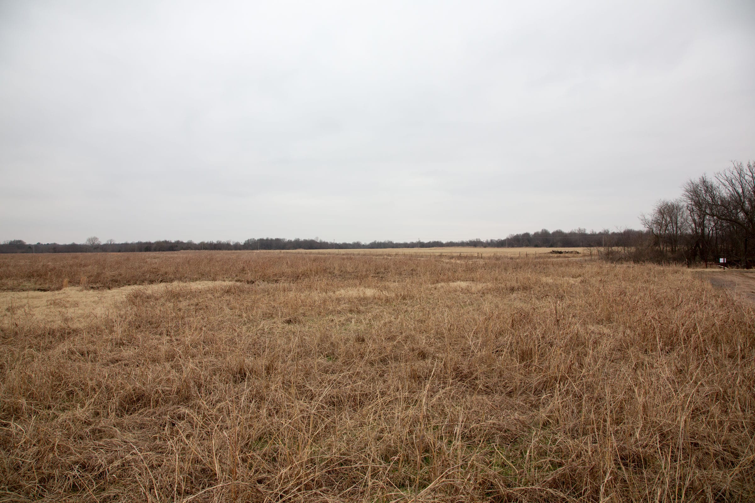 Canadian Plains Tract 41 photo 8