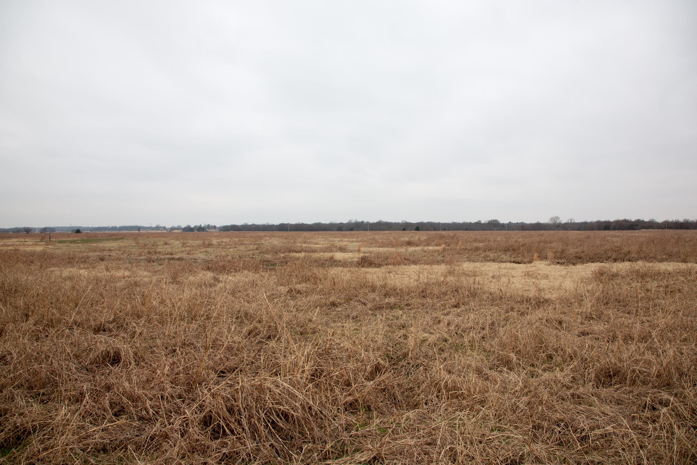 Canadian Plains Tract 41 photo 9