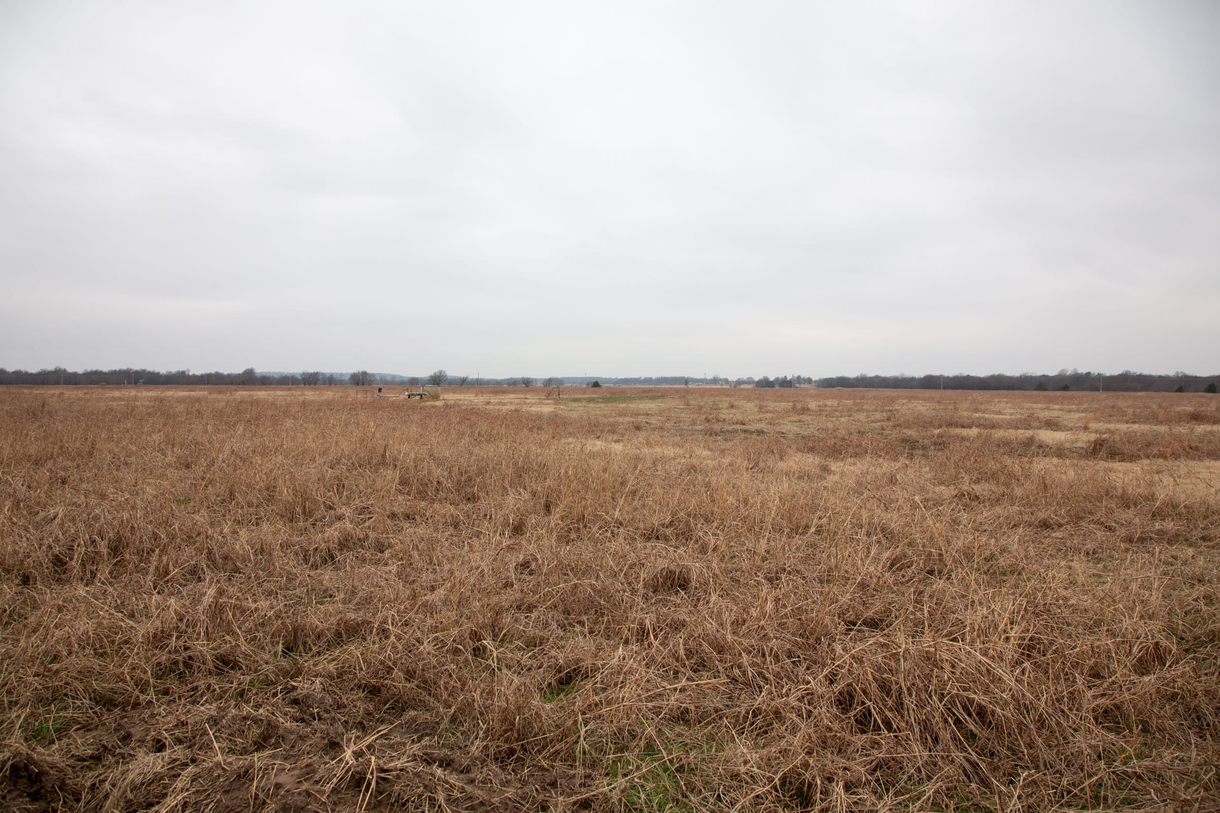 Canadian Plains Tract 41 photo 10