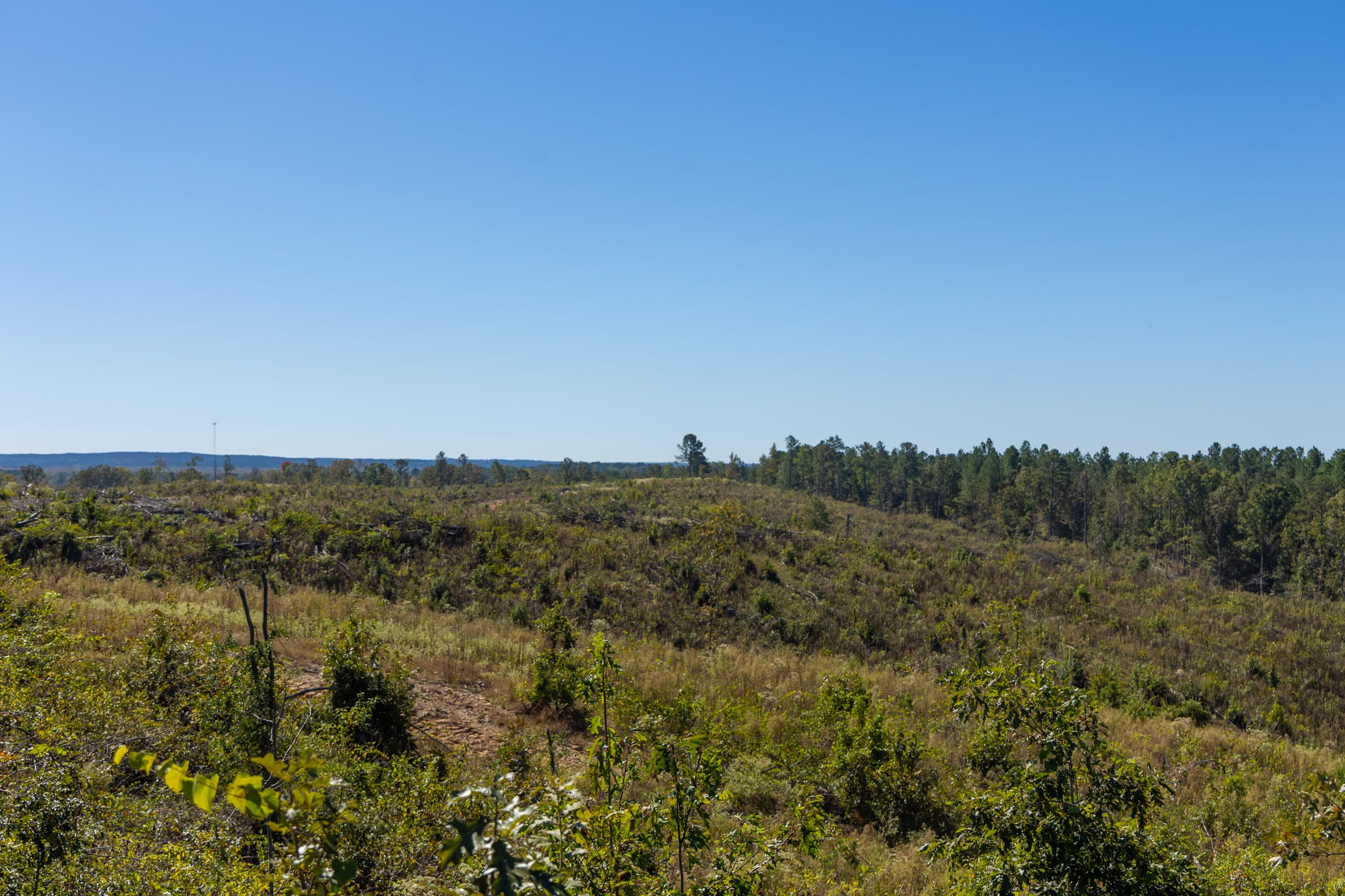 Meyer’s Ridge Tract 45 photo 7