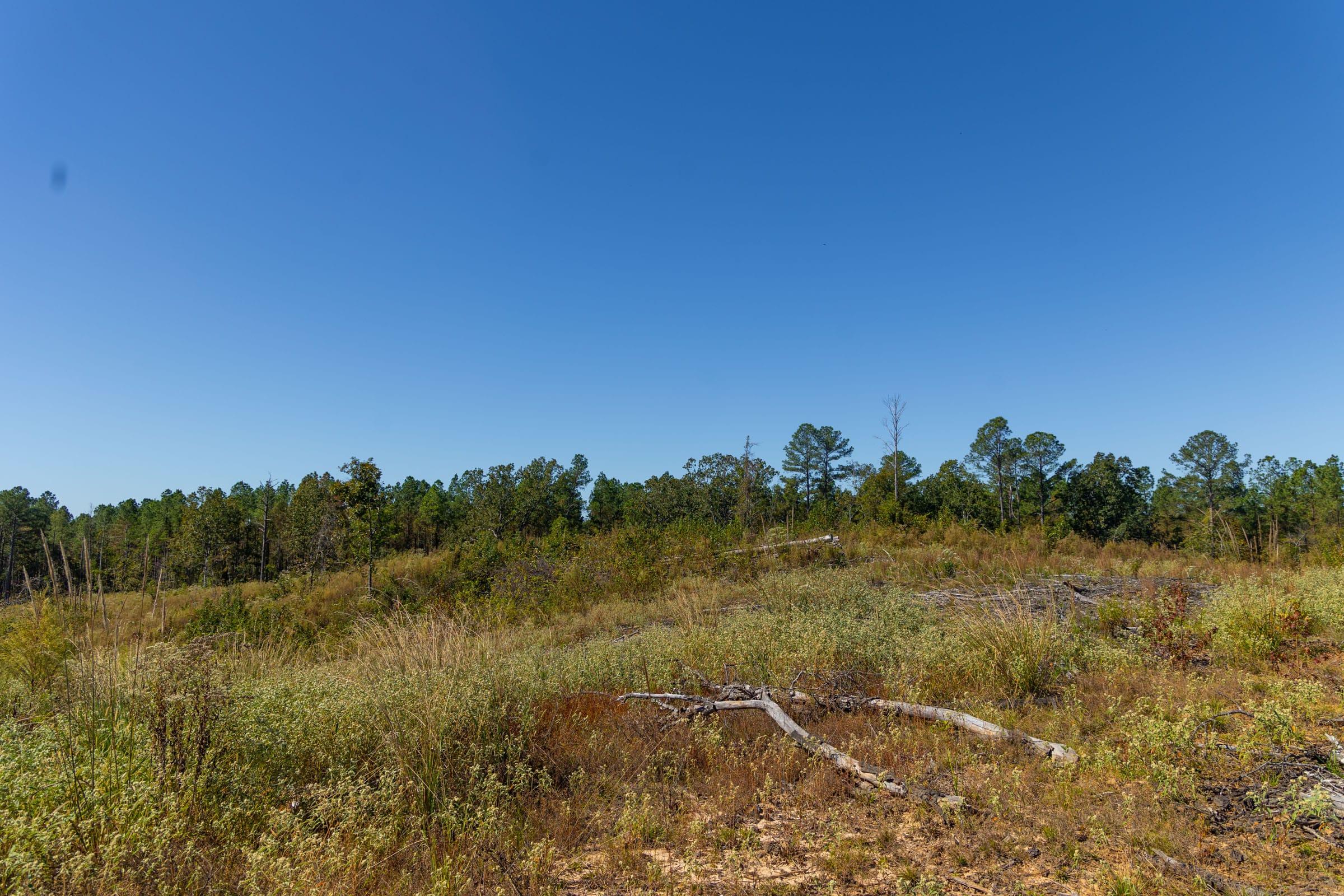 Meyer’s Ridge Tract 45 photo 13