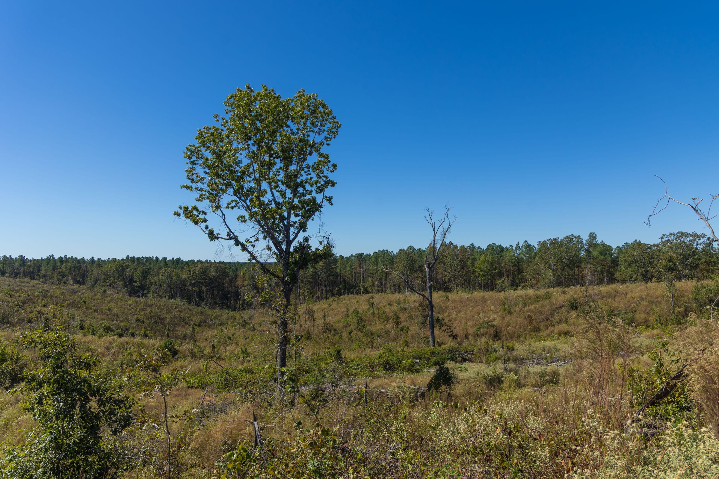 Meyer’s Ridge Tract 45 photo 12