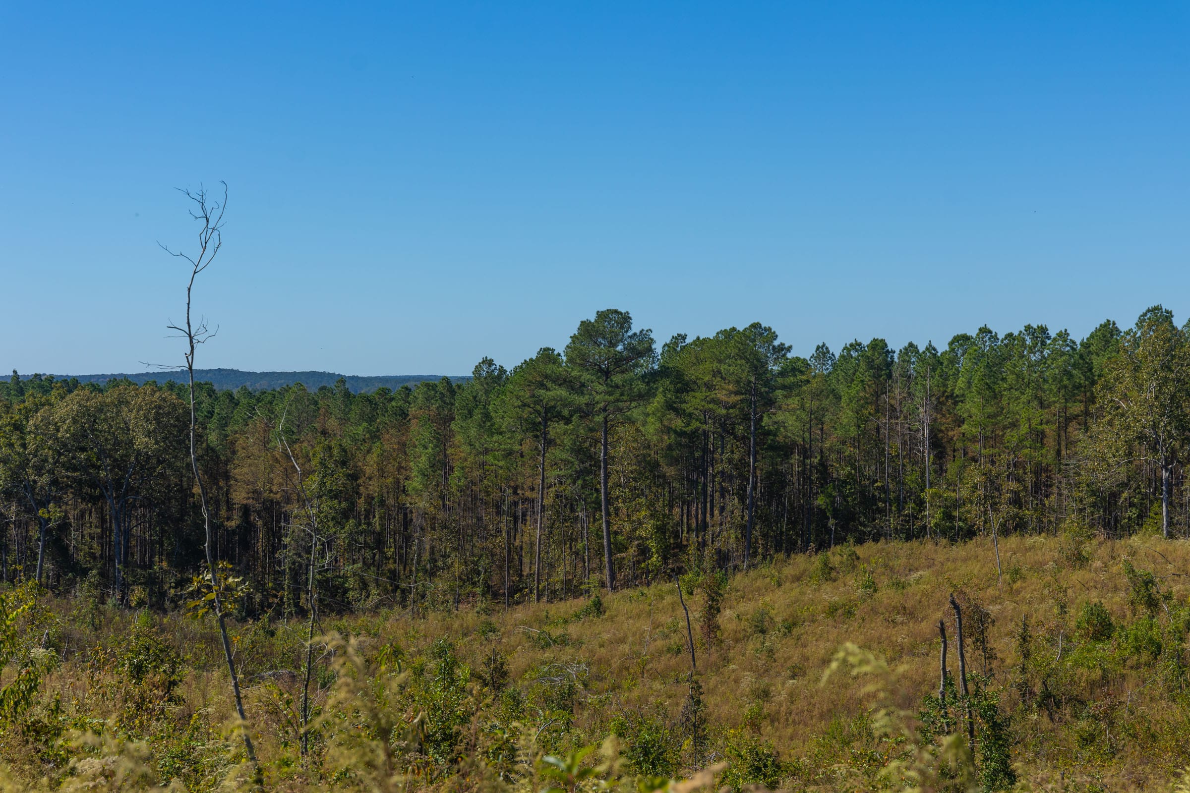 Meyer’s Ridge Tract 45 photo 6