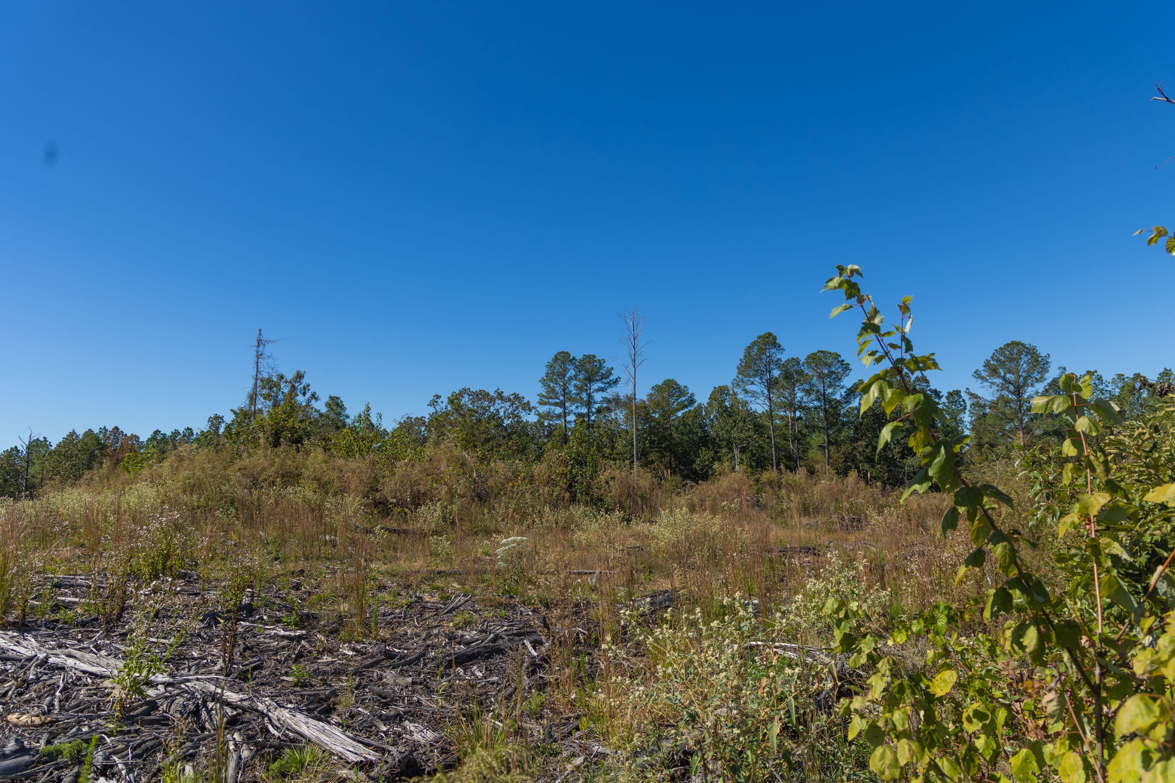 Meyer’s Ridge Tract 45 photo 5