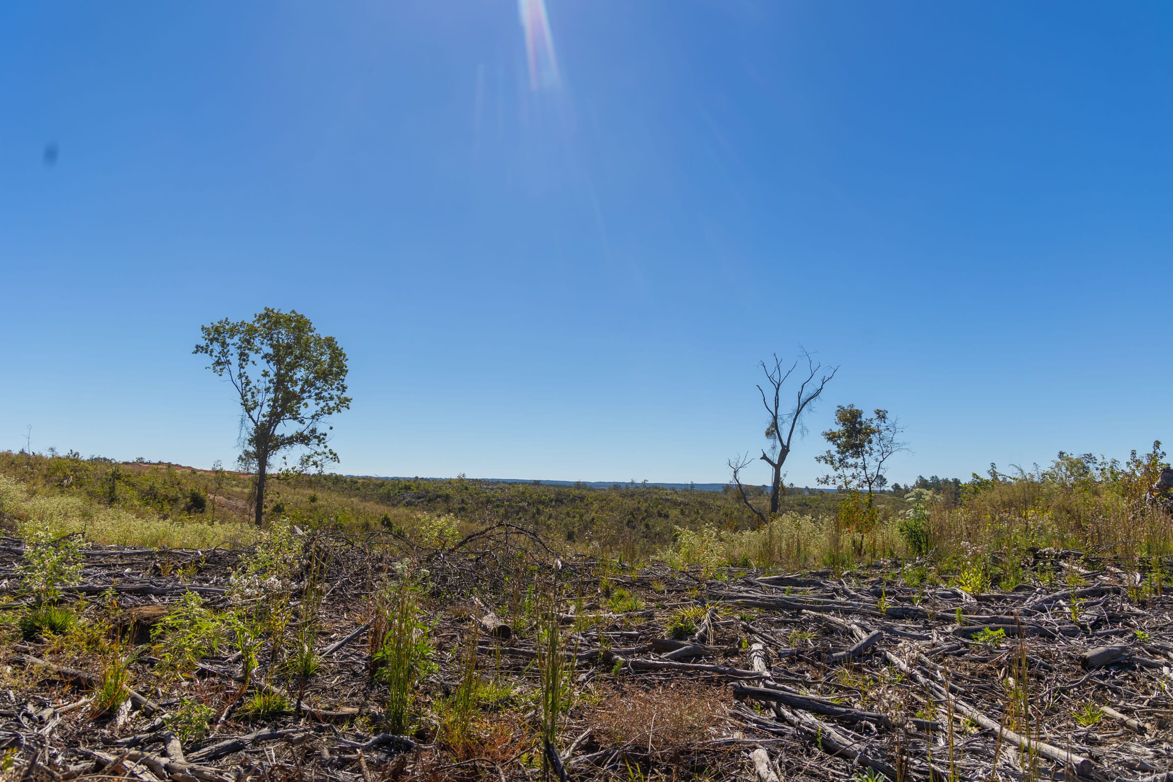 Meyer’s Ridge Tract 45 photo 4