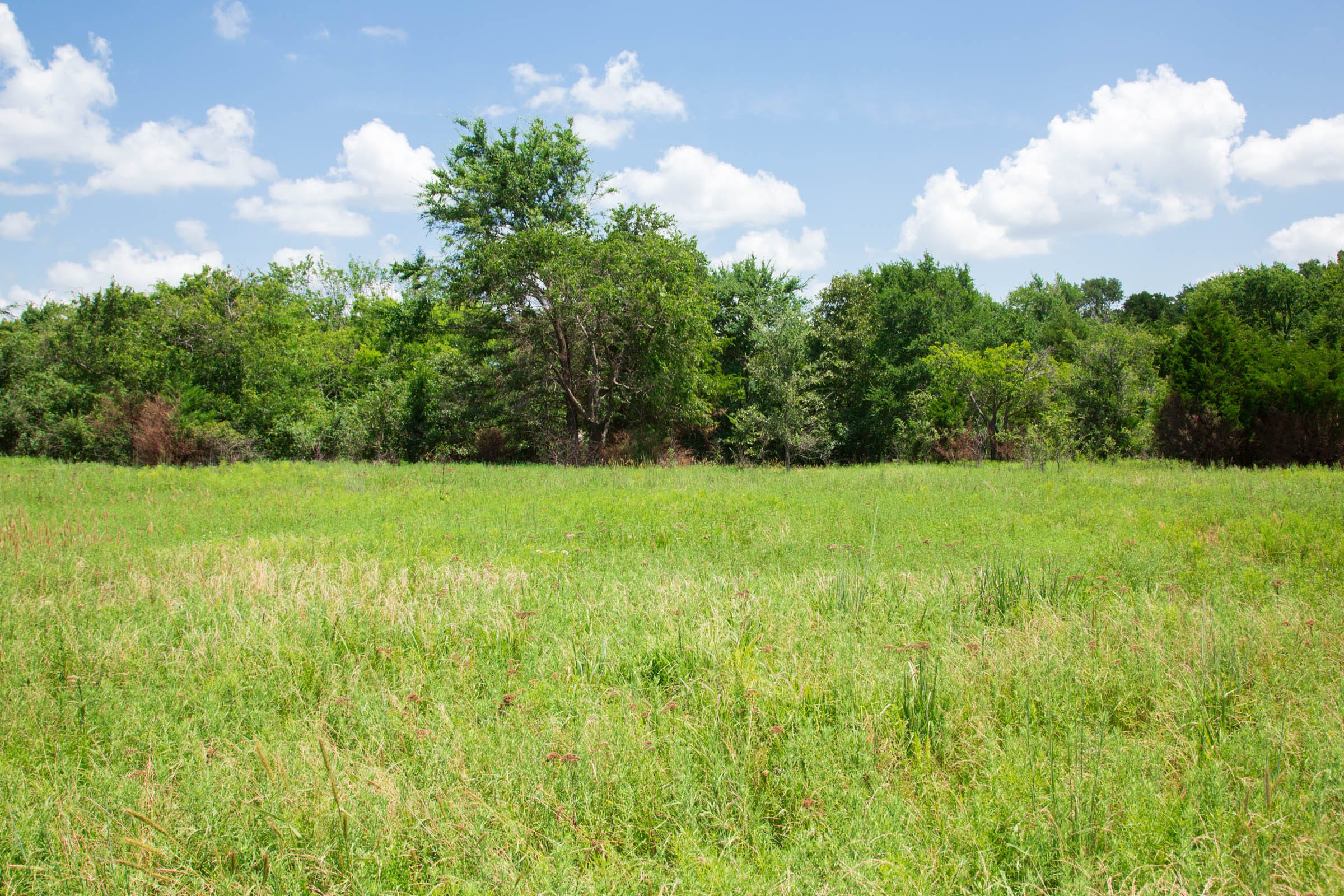 Deep Fork Ranch Tract 5 photo 3