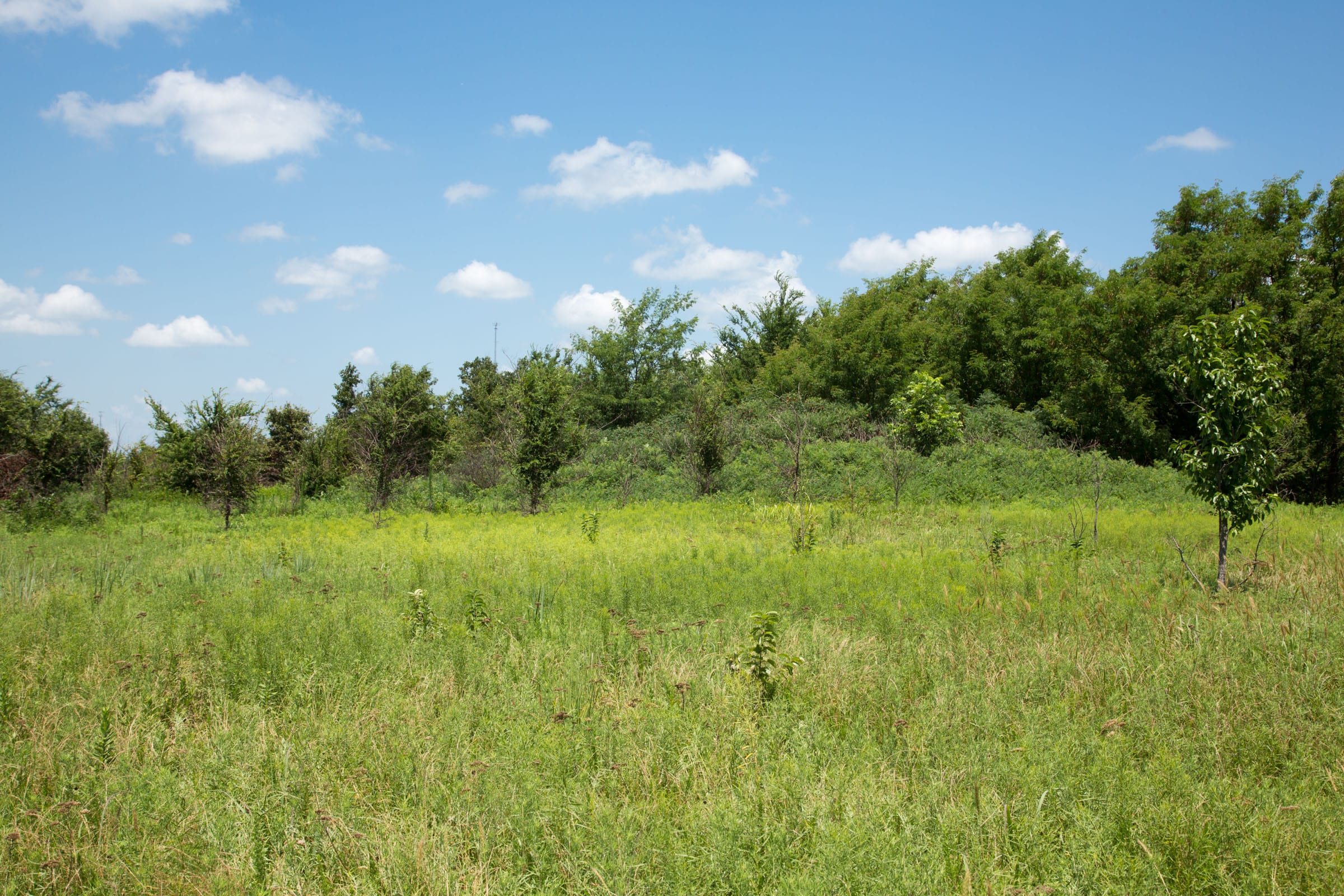 Deep Fork Ranch Tract 5 photo 4