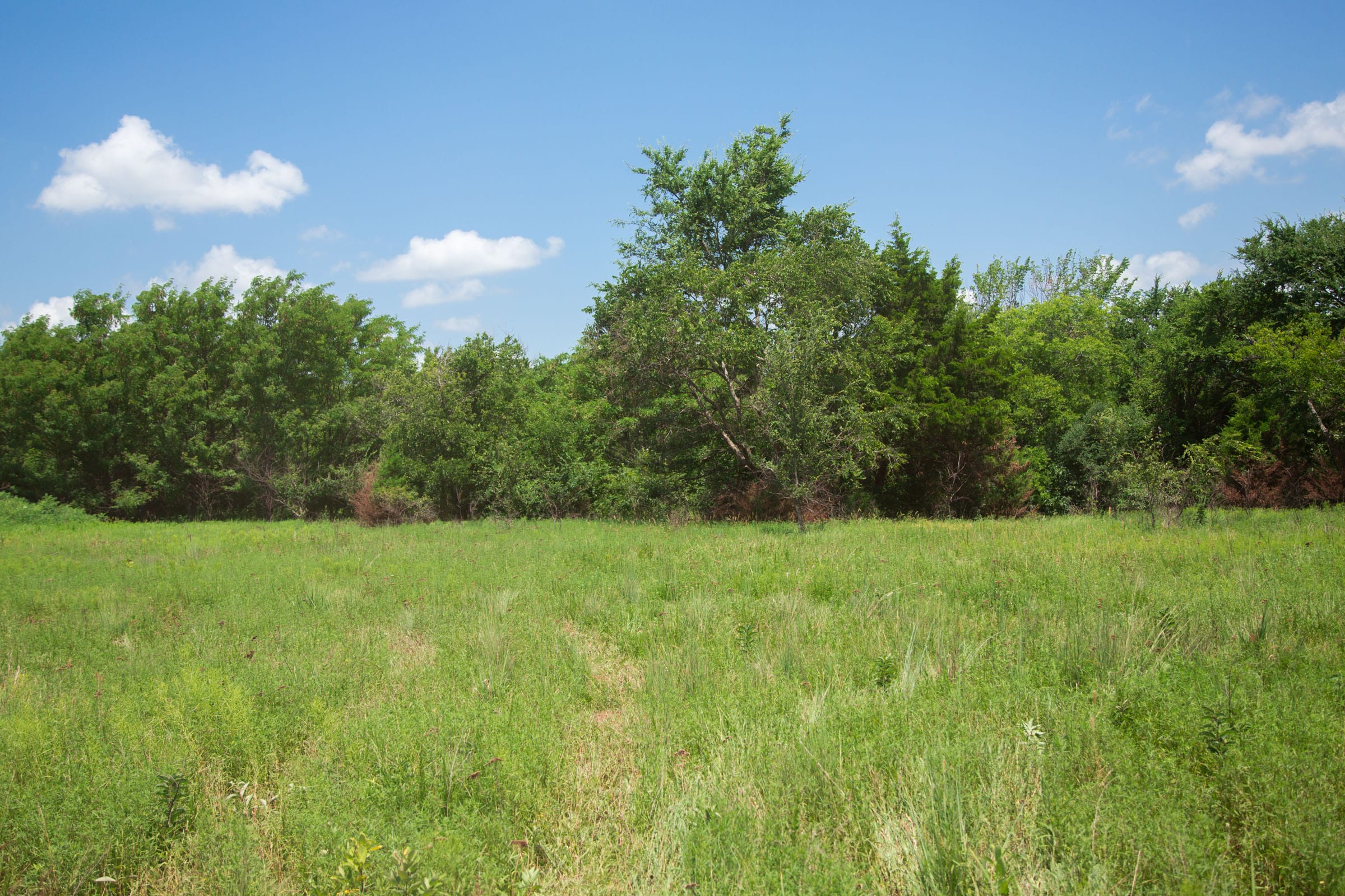 Deep Fork Ranch Tract 5 photo 6