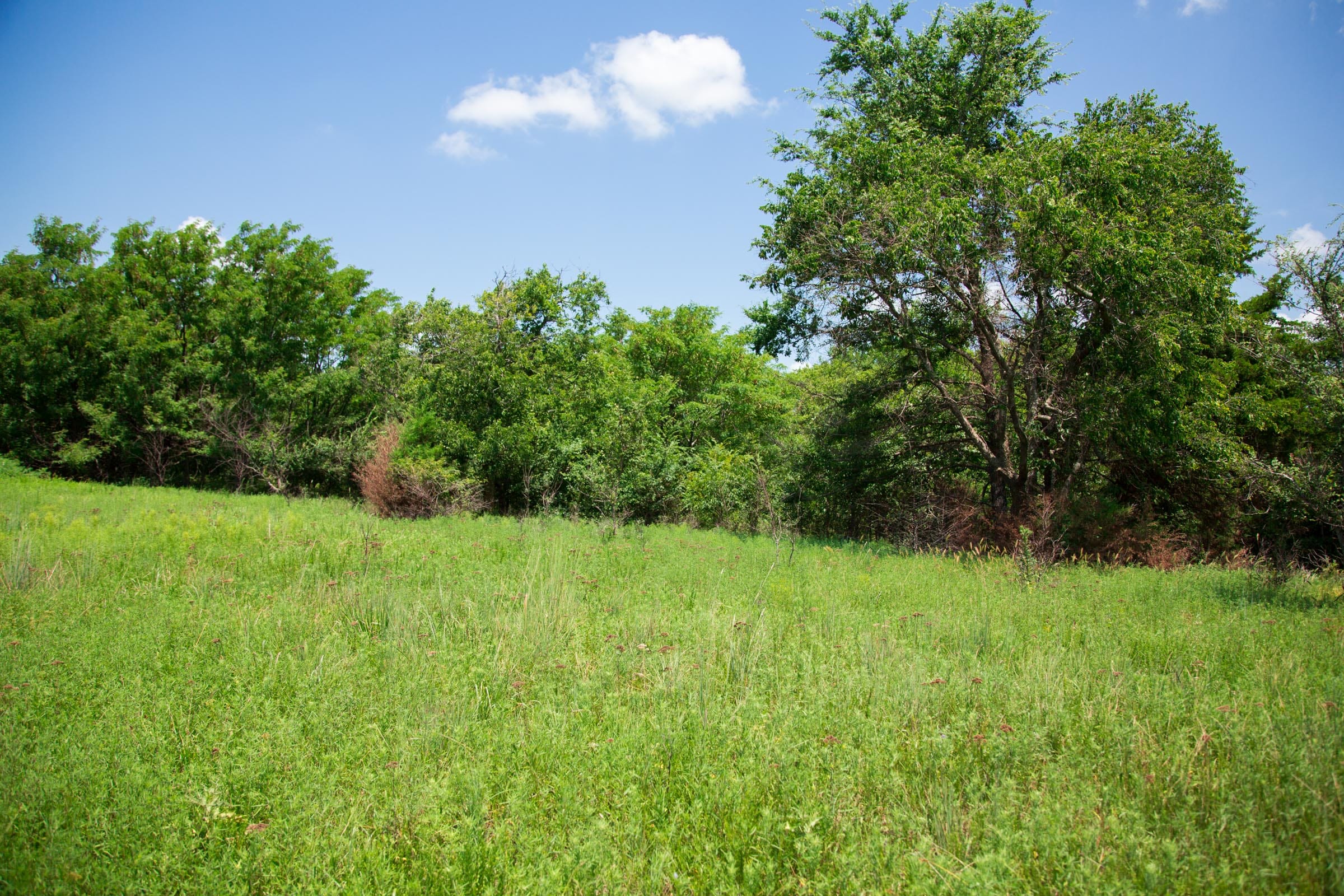 Deep Fork Ranch Tract 5 photo 8