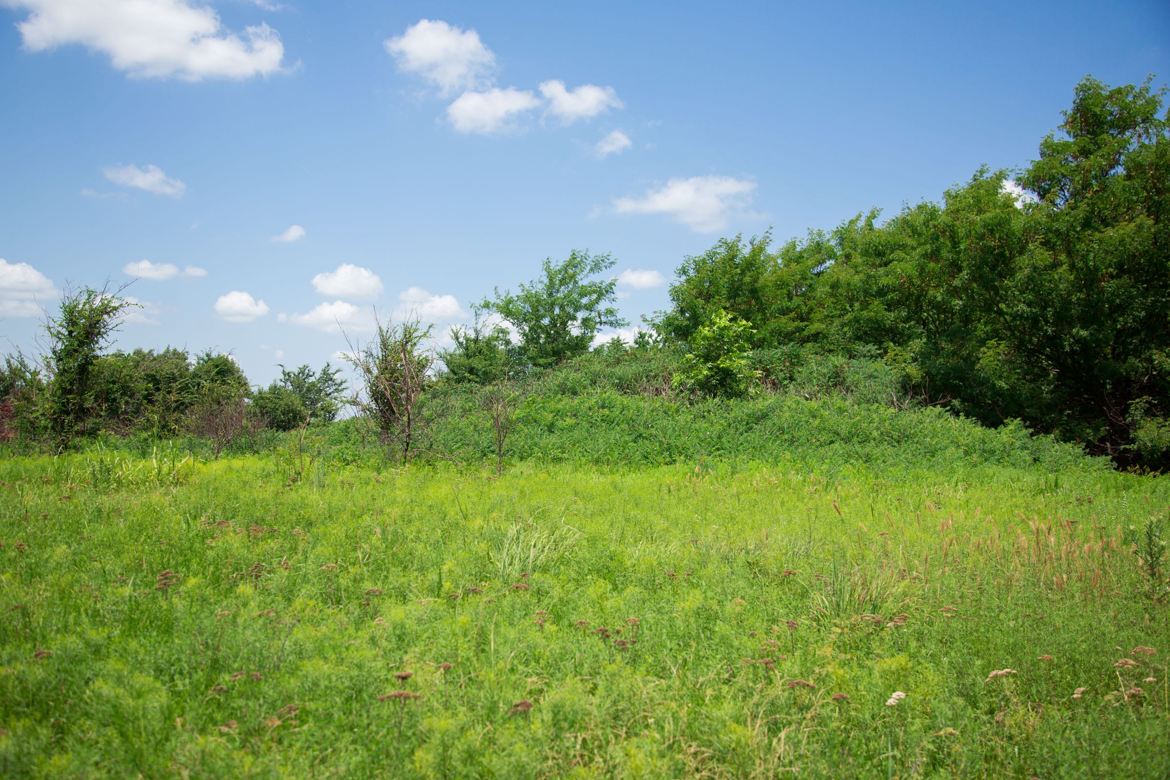 Deep Fork Ranch Tract 5 photo 9