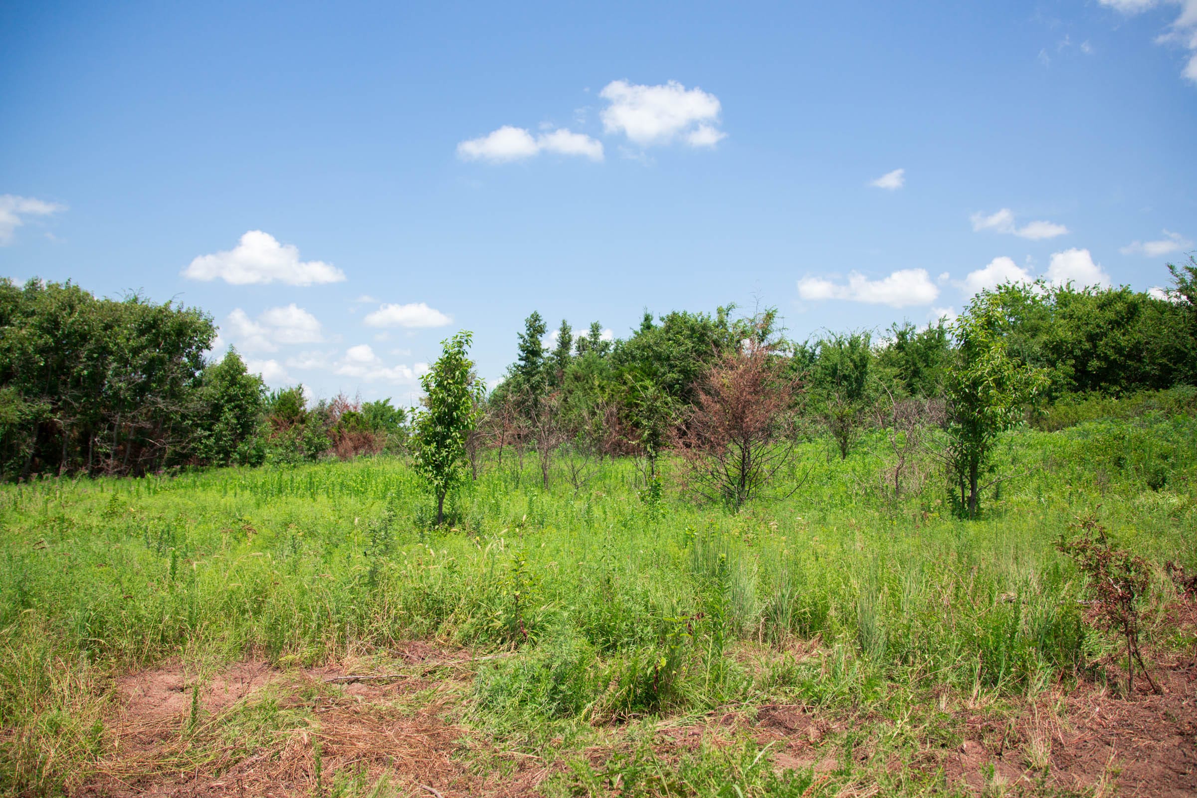 Deep Fork Ranch Tract 5 photo 12