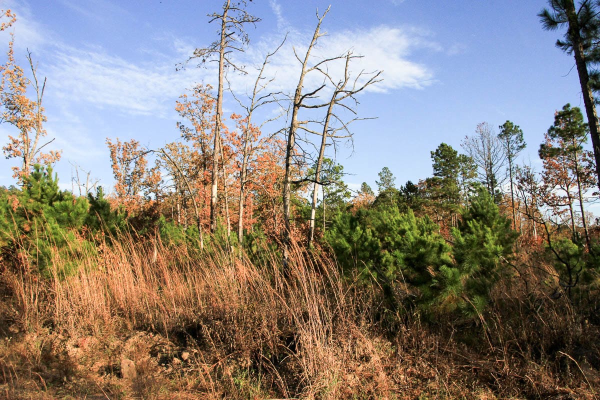Stone Creek Phase III Tract 18 photo 2