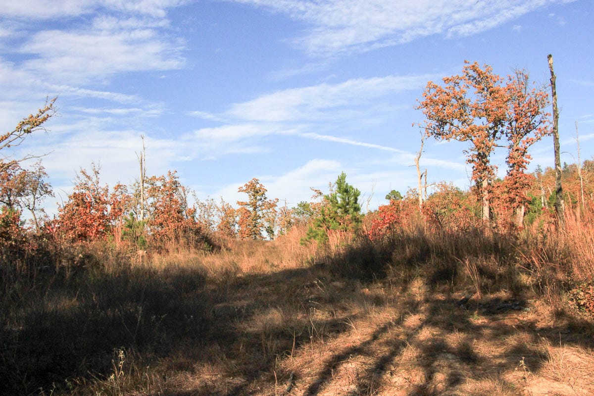 Stone Creek Phase III Tract 18 photo 3