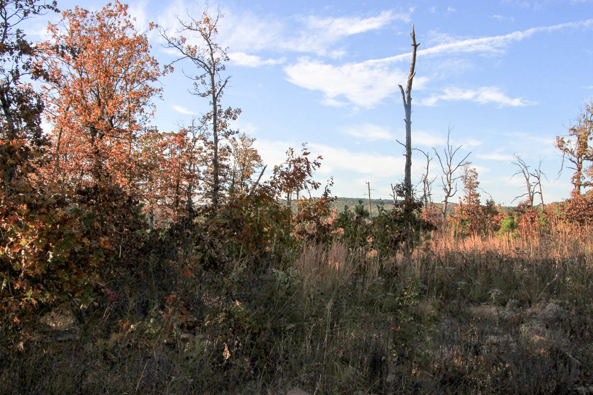 Stone Creek Phase III Tract 18 photo 4