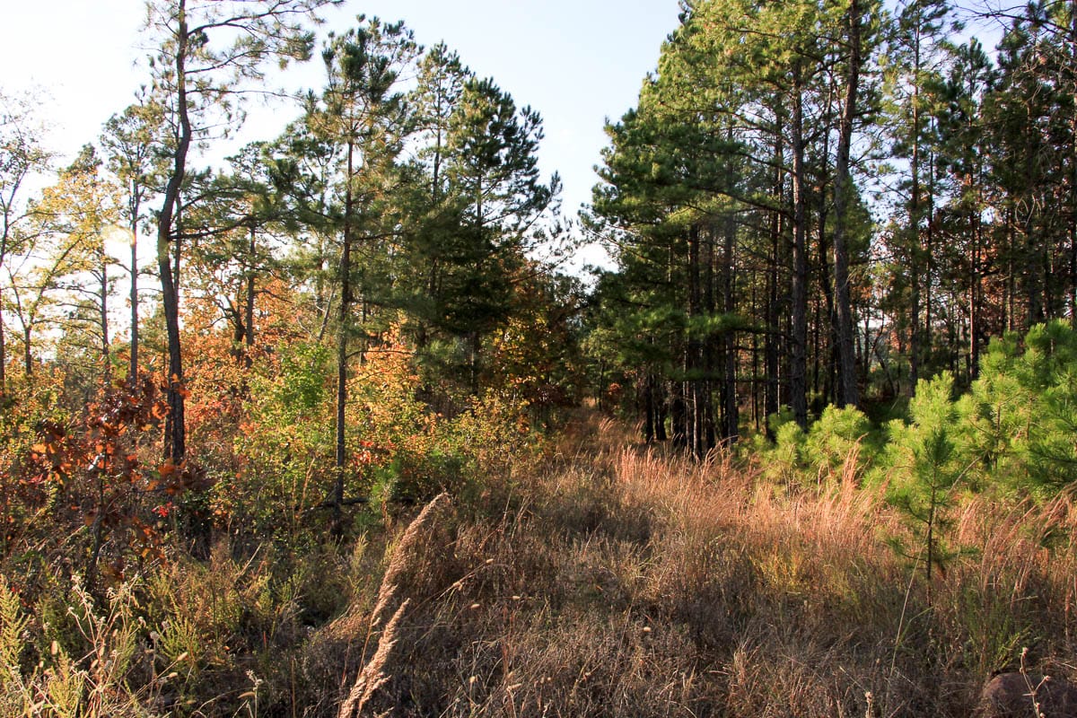 Stone Creek Phase III Tract 18 photo 5