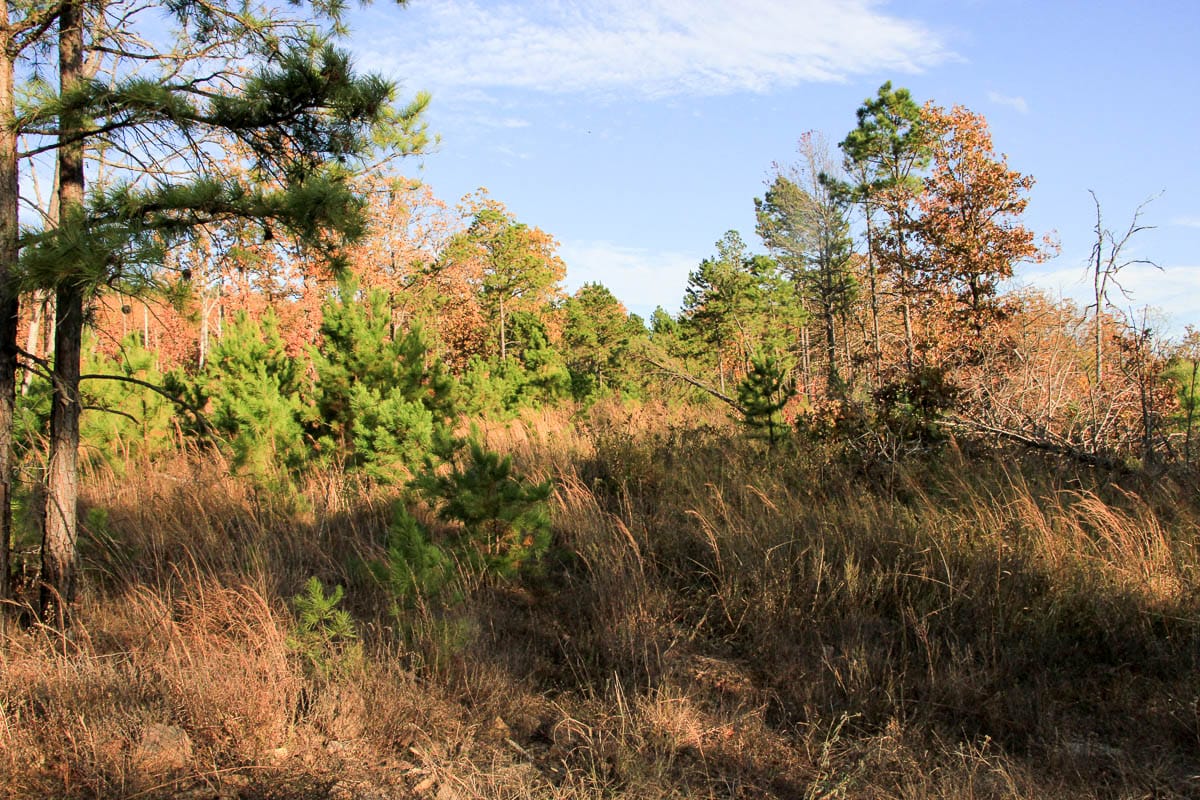 Stone Creek Phase III Tract 18 photo 6