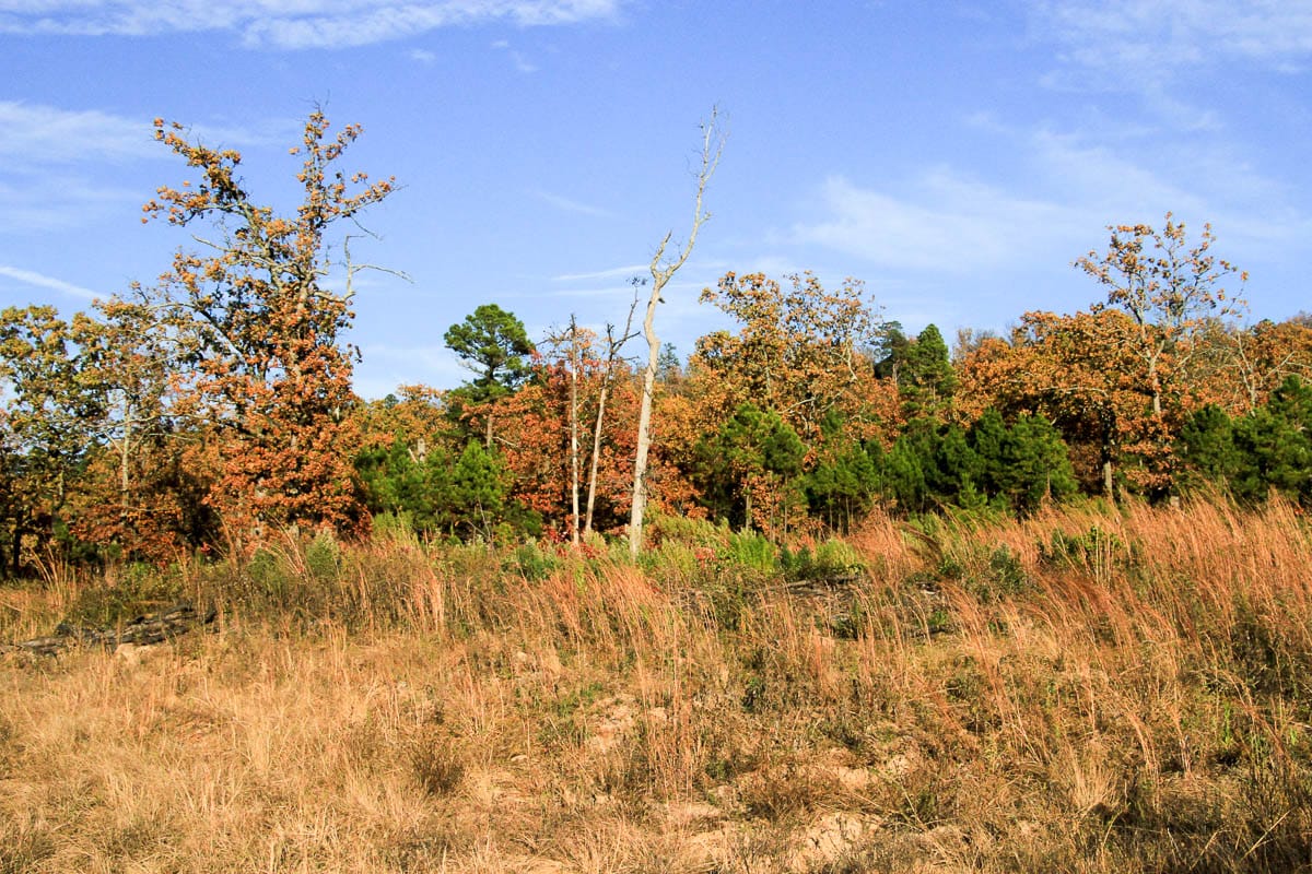 Stone Creek Phase III Tract 18 photo 10