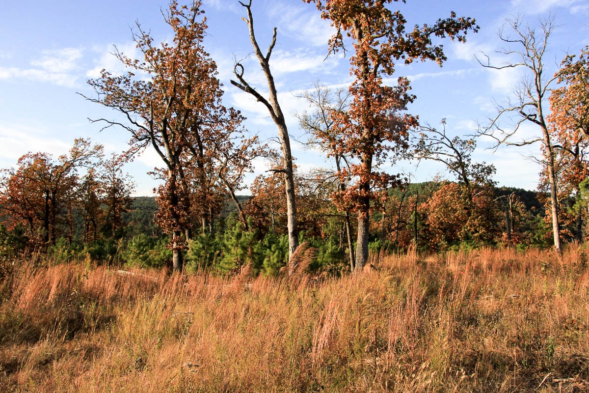 Stone Creek Phase III Tract 18 photo 15
