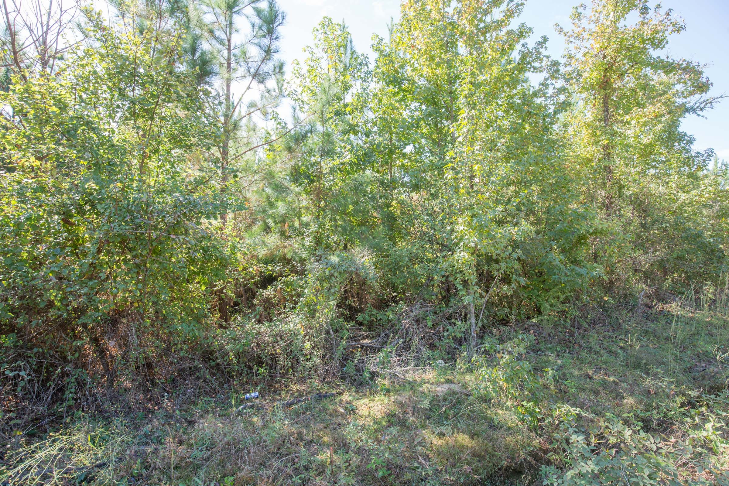 Brentwood Tract 5 photo 2