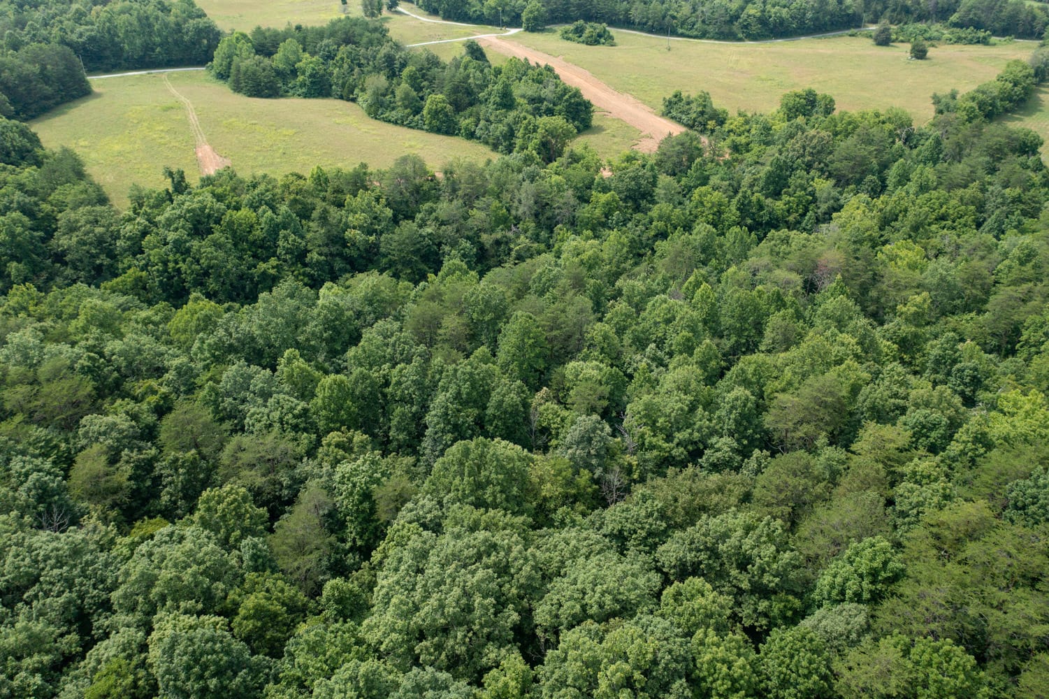 Rolling Hills Tract 27 photo 10