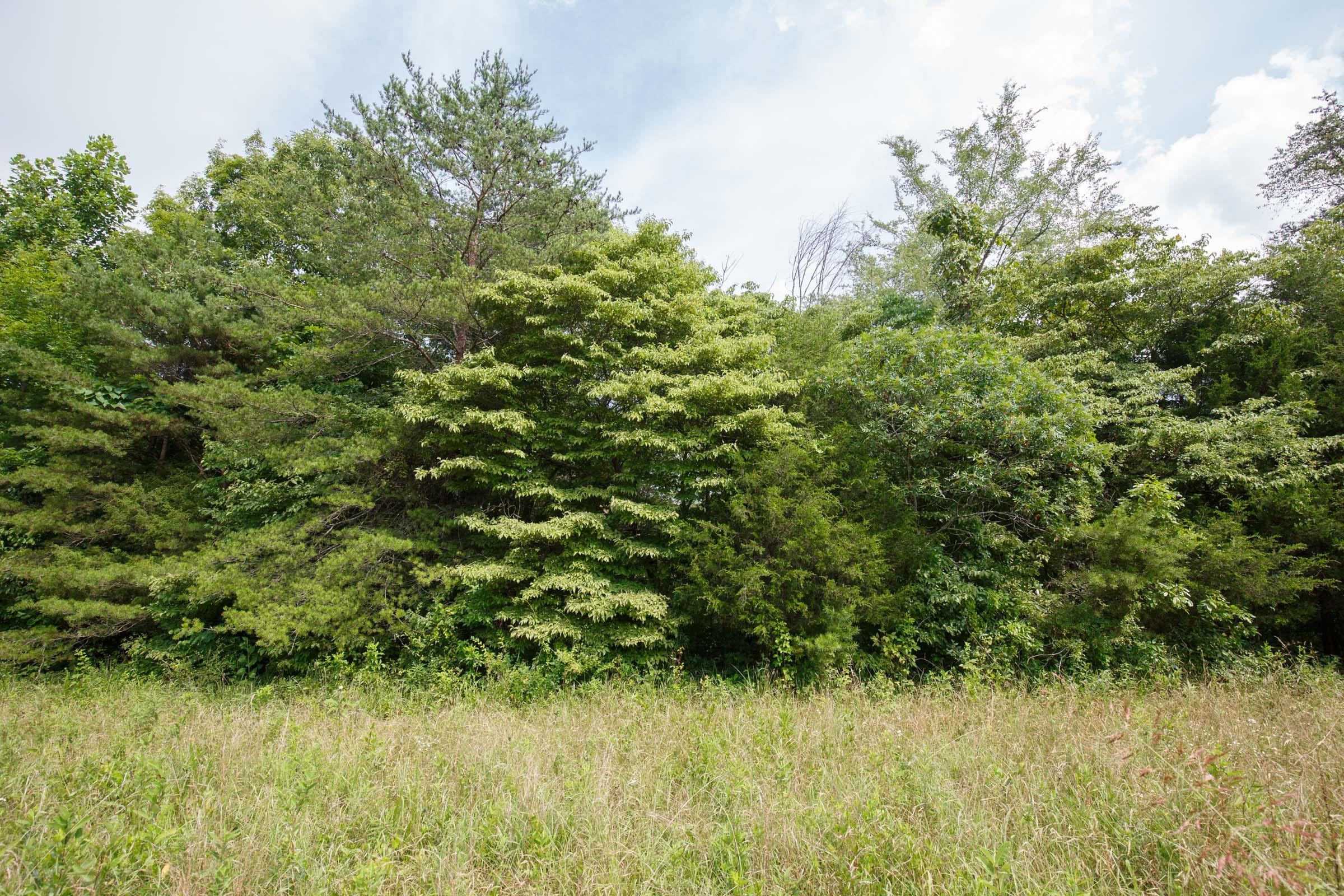 Rolling Hills Tract 27 photo 5