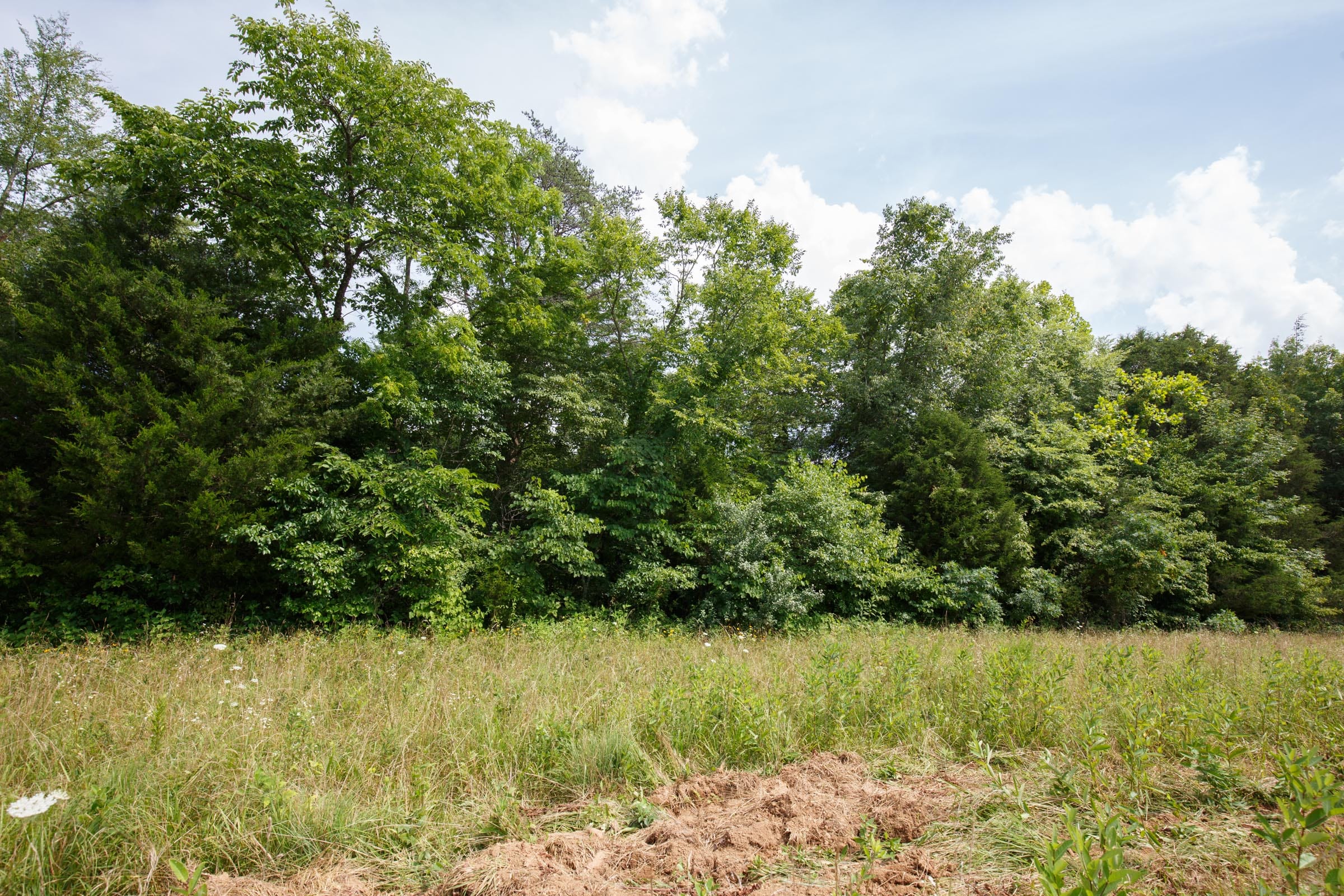 Rolling Hills Tract 27 photo 4
