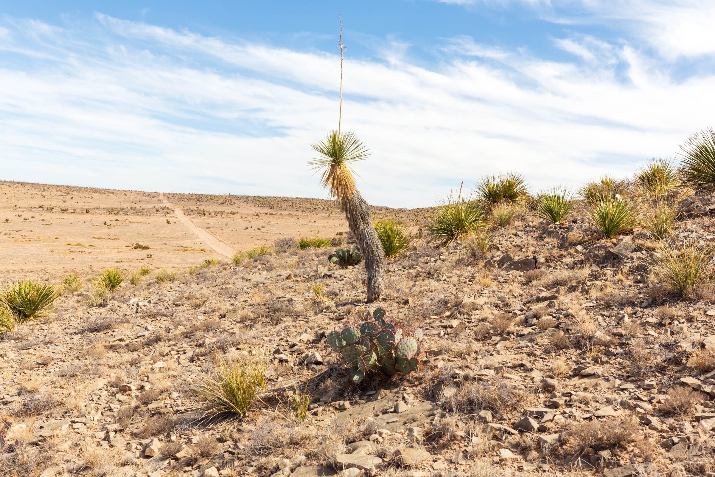 Sunrise Ranches Phase III Tract 105 photo 2