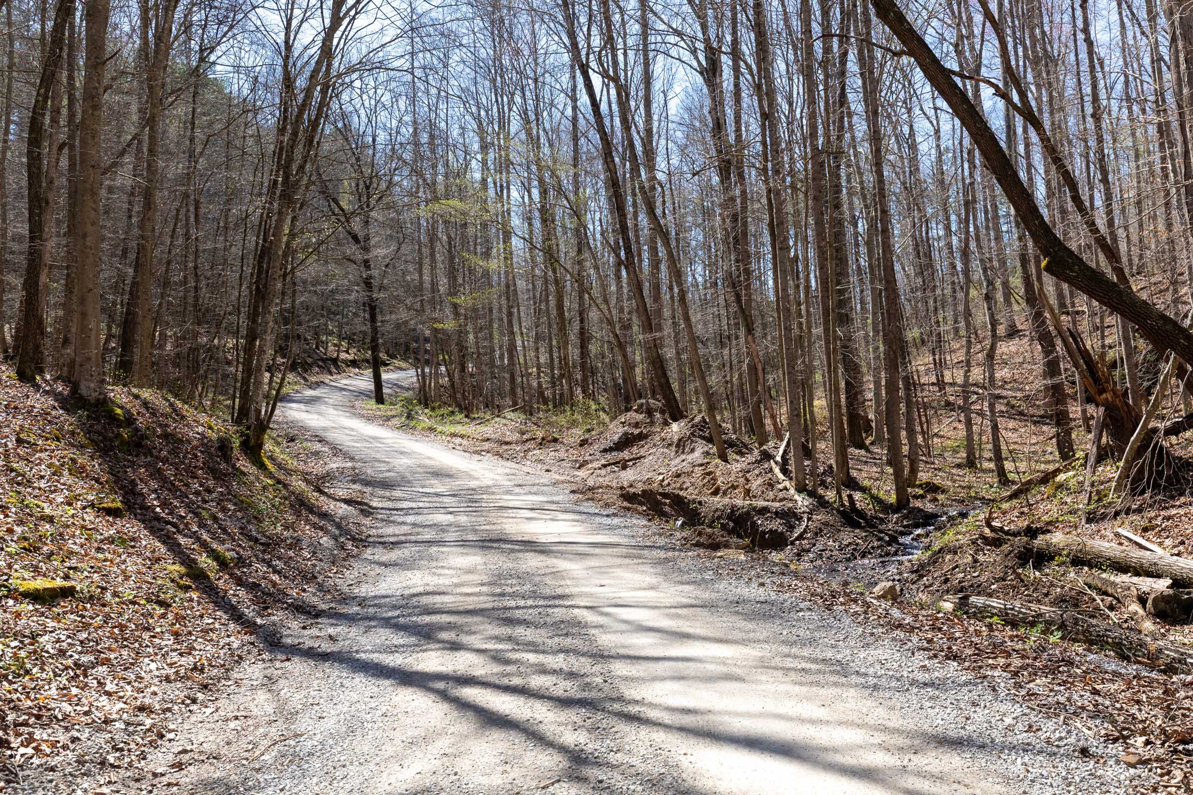 Woodland Heights Tract 15 photo 1
