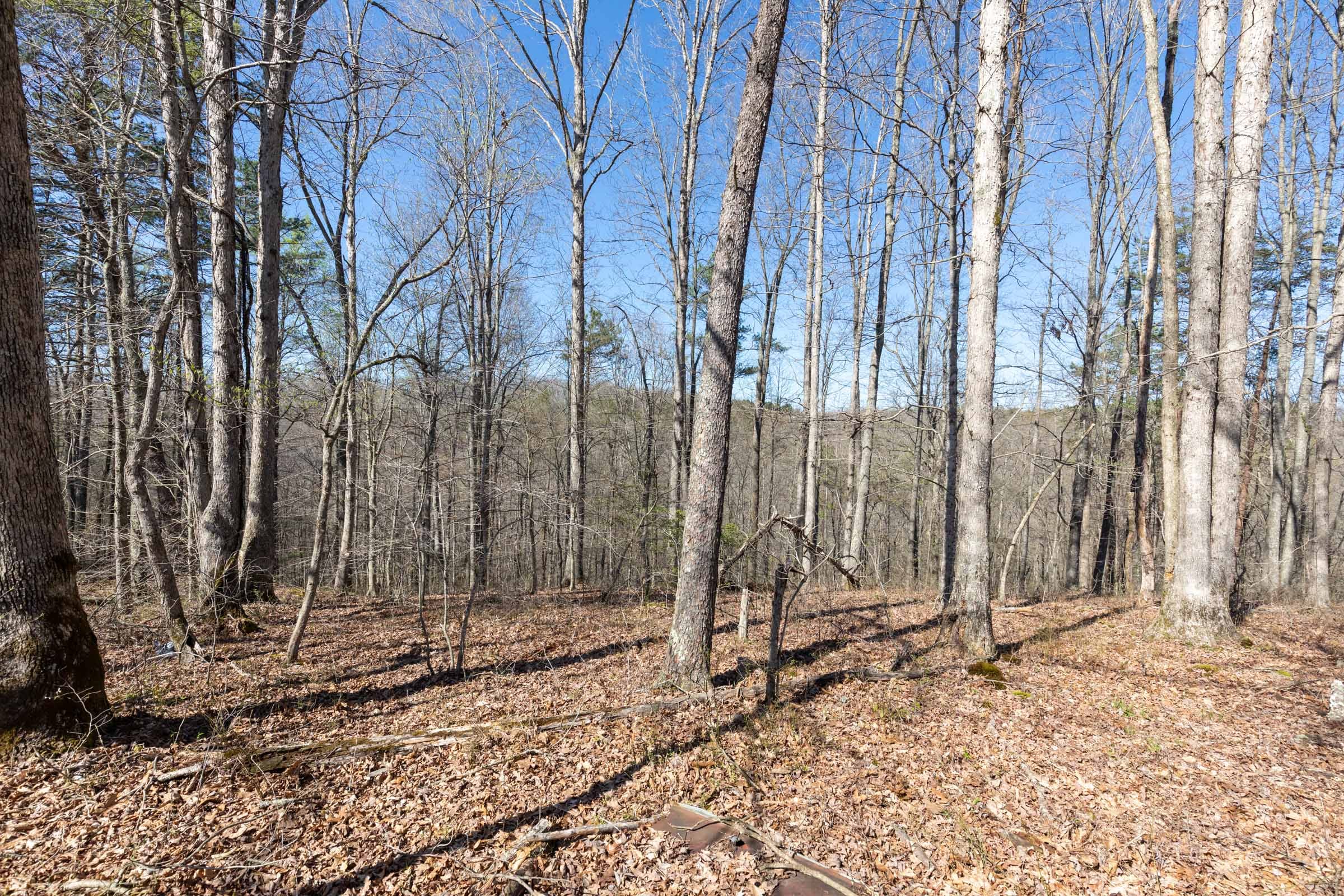Woodland Heights Tract 15 photo 6