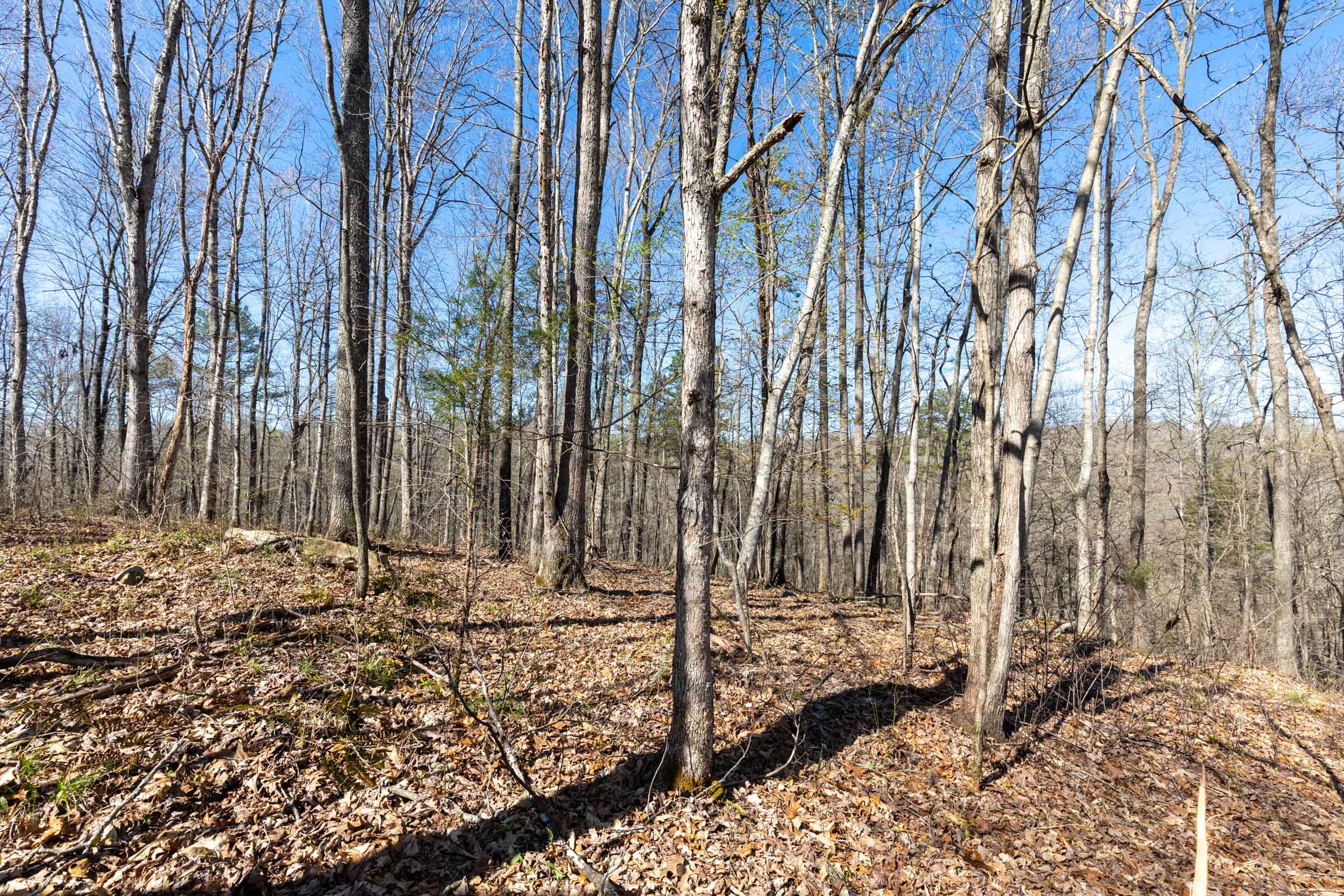 Woodland Heights Tract 15 photo 10
