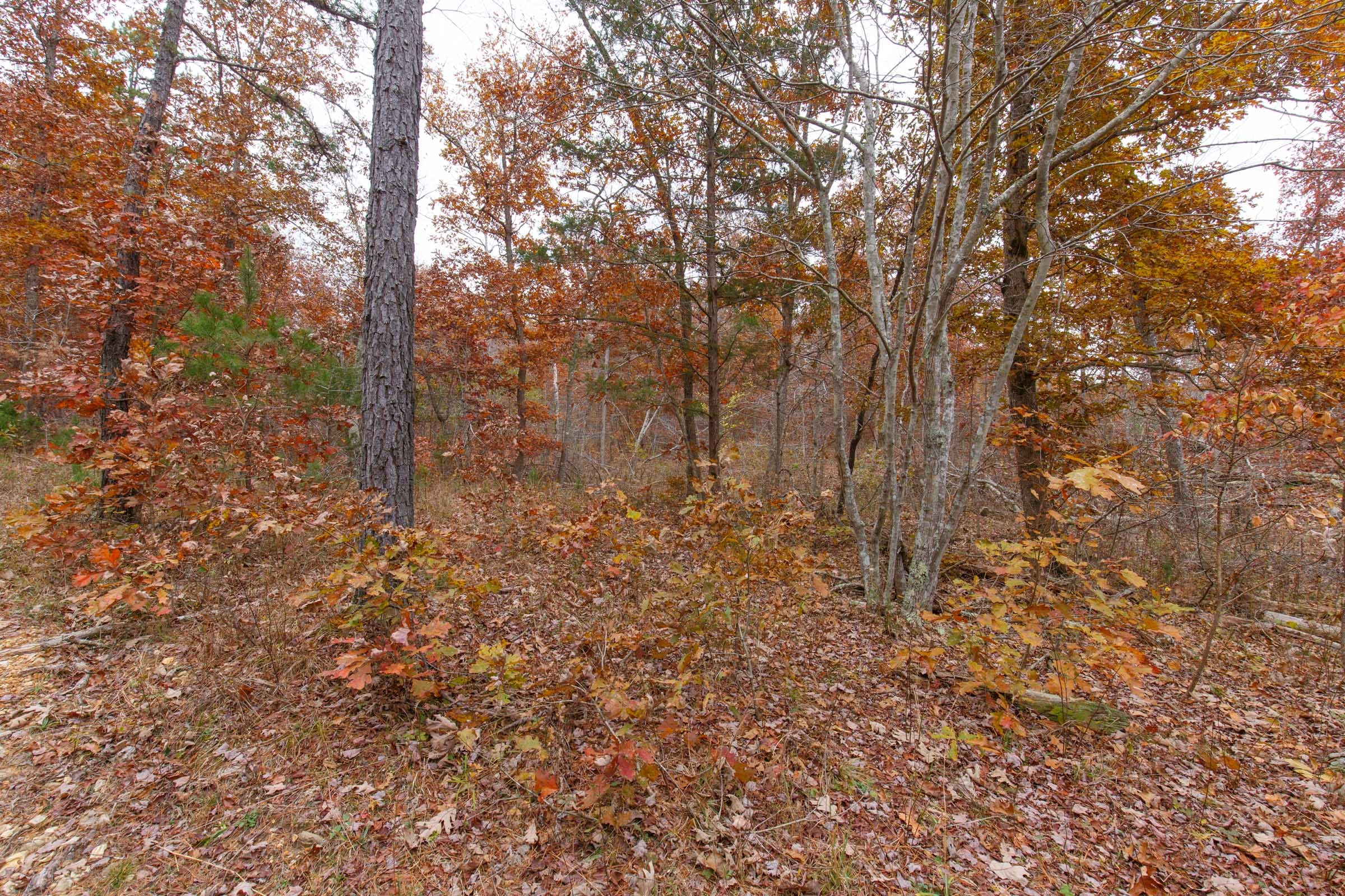 Hawkcrest Tract 19 photo 6