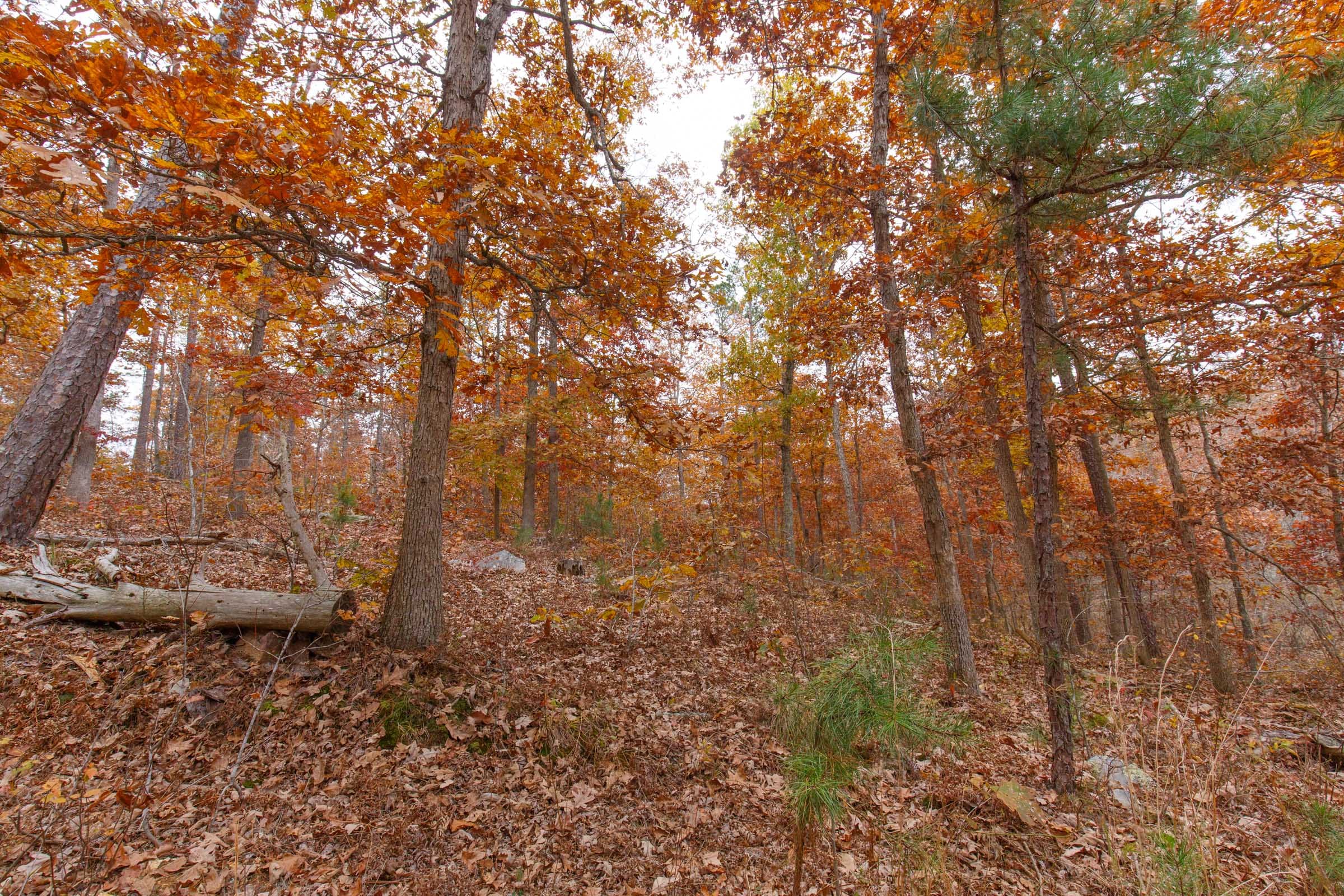 Hawkcrest Tract 19 photo 4