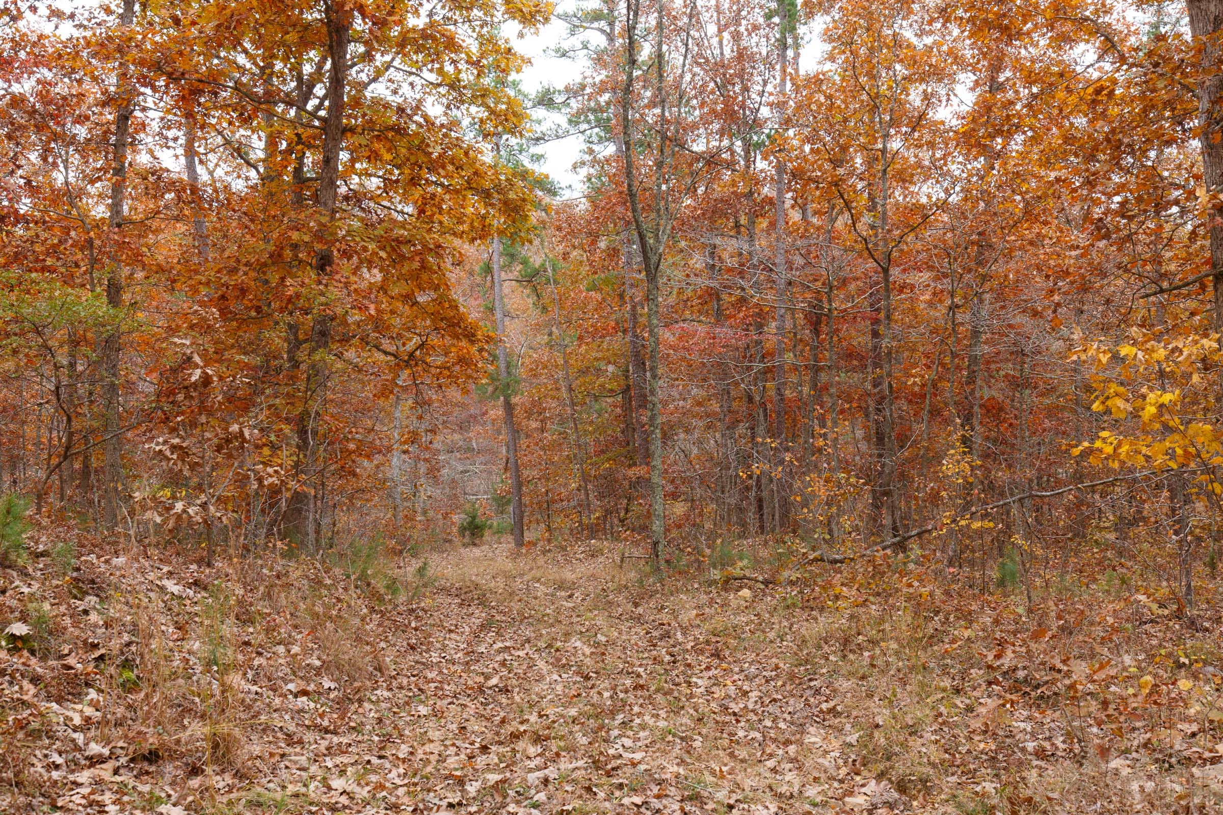 Hawkcrest Tract 19 photo 5