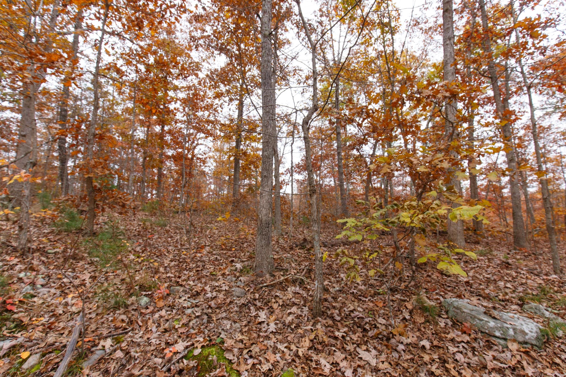 Hawkcrest Tract 19 photo 9