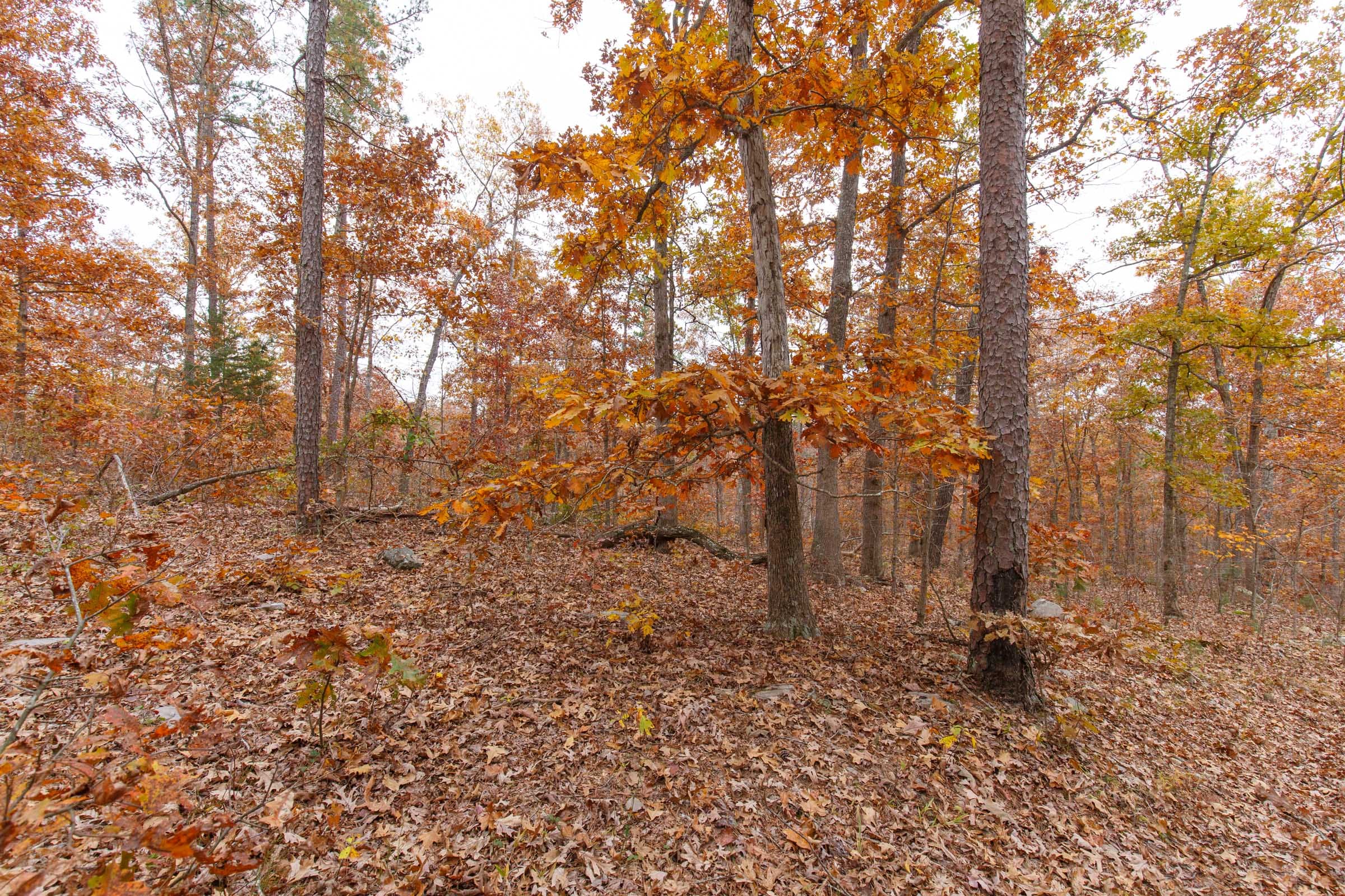 Hawkcrest Tract 19 photo 7