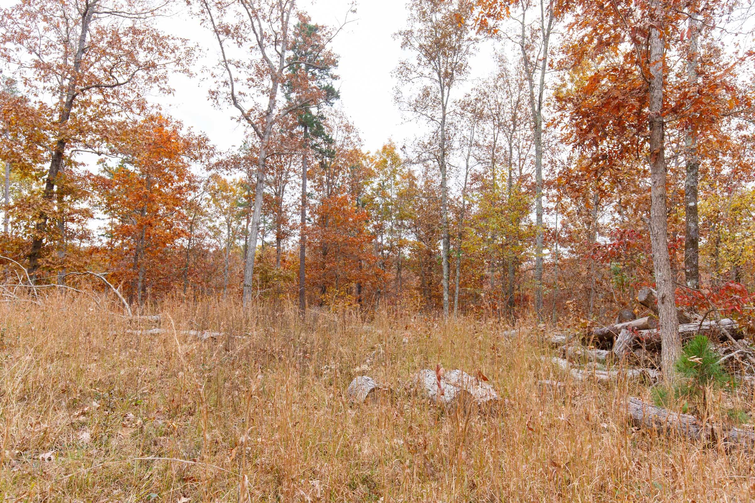 Hawkcrest Tract 19 photo 10