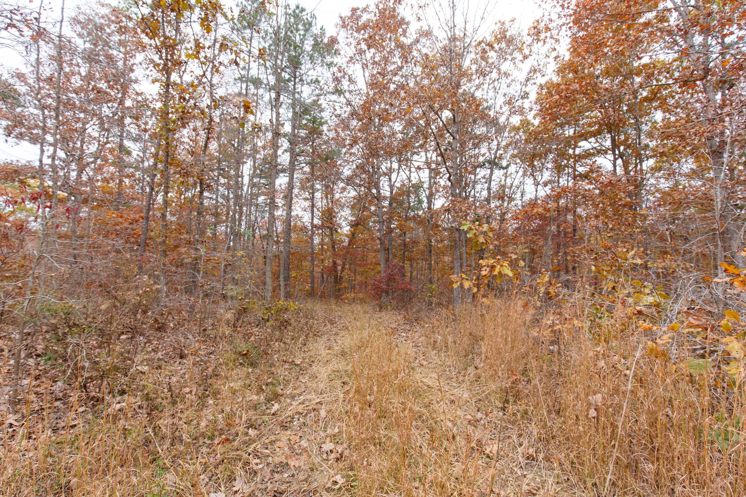 Hawkcrest Tract 19 photo 8