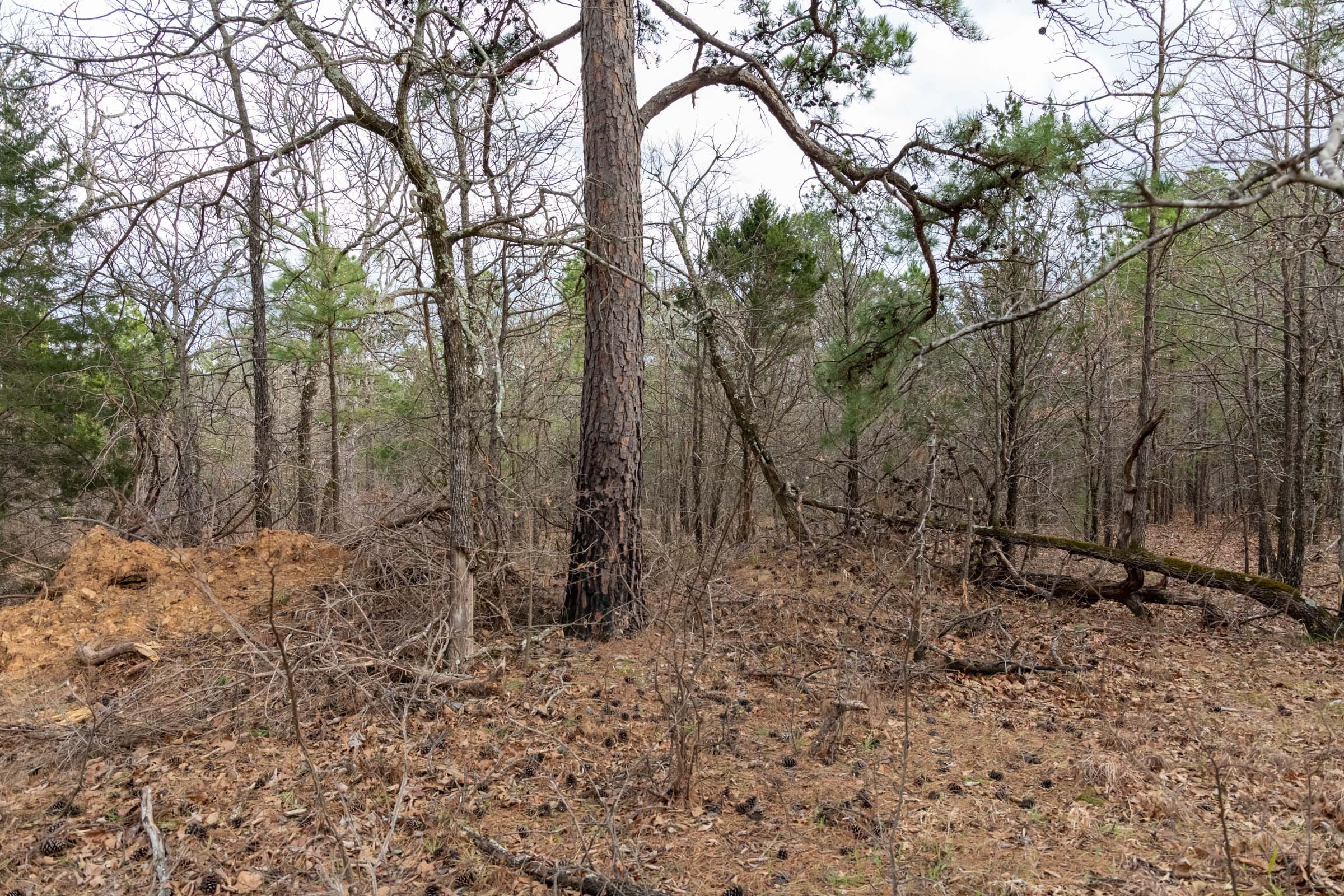 Stone Bridge Phase III Tract 179 photo 2